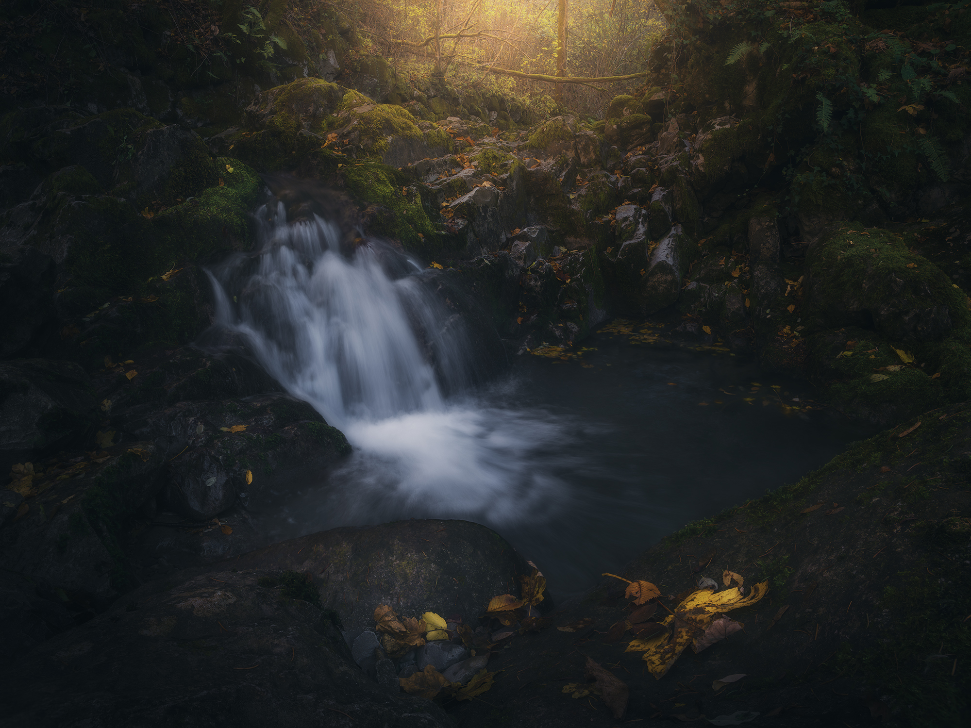 , de Franzoni Thomas