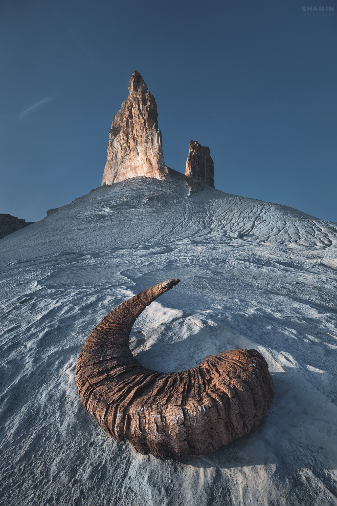 , Константин Шамин