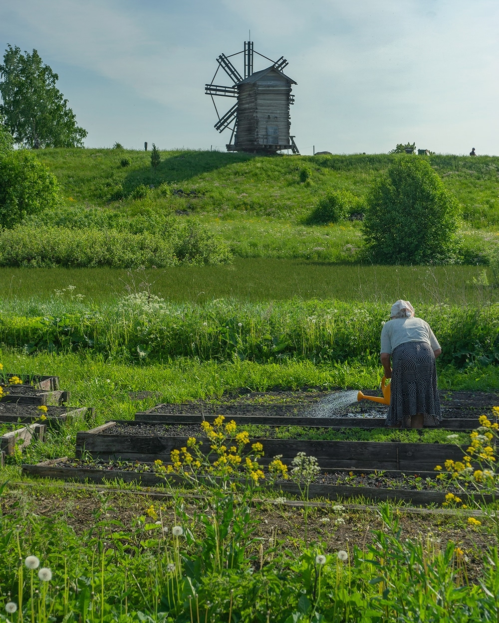 , Петр Косых