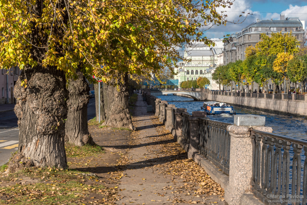 город, архитектура, городской пейзаж, санкт - петербург, набережная крюкова канала, крюков канал, старые городские деревья, золотая осень, осенний петербург, Павлова Марина