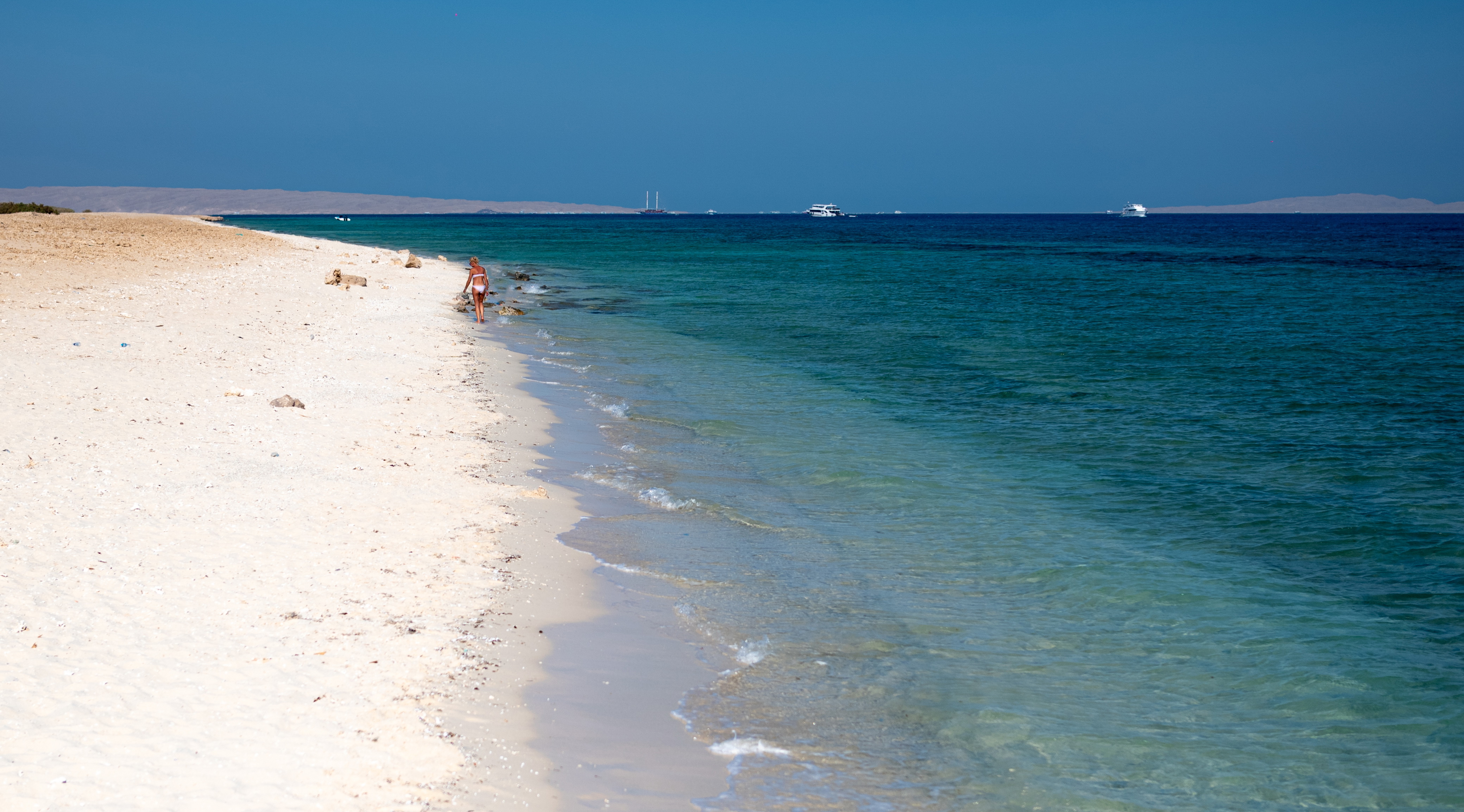 , Николай Смолянкин