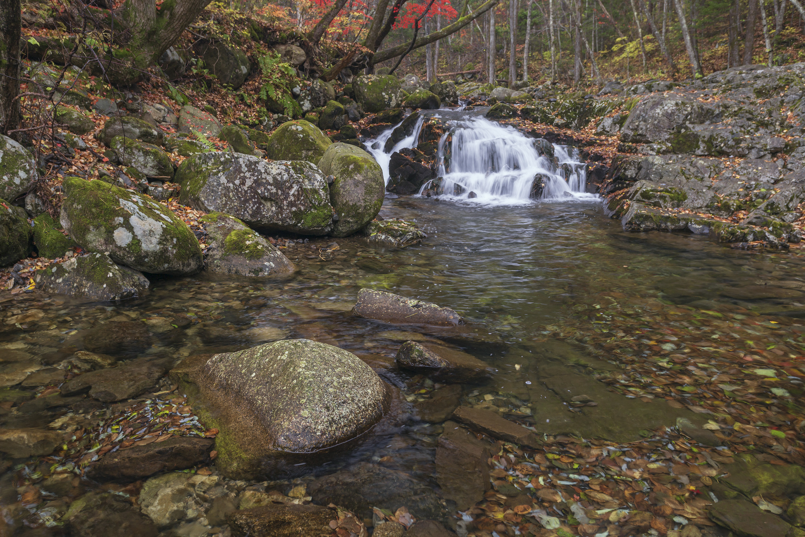 водопад, осень, тайга, Кузнецов Александр