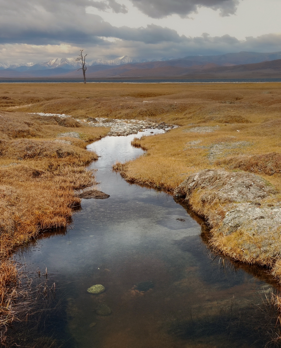 , Трофимов Алексей