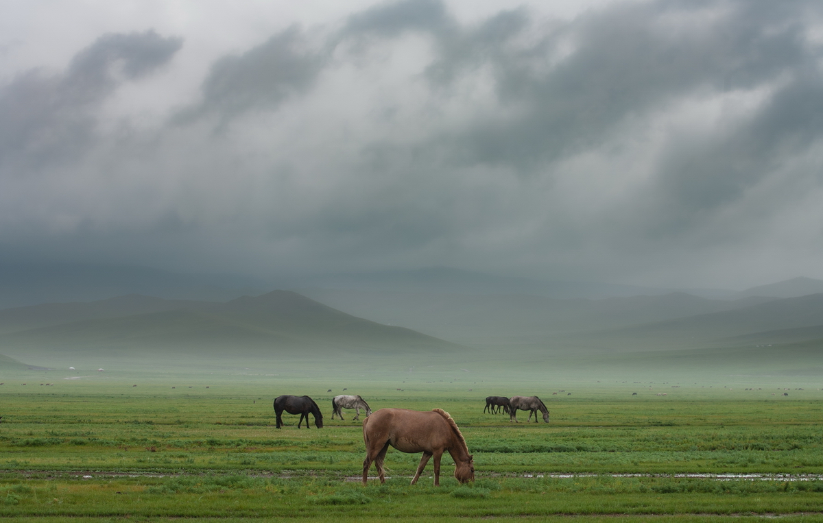 , Трофимов Алексей