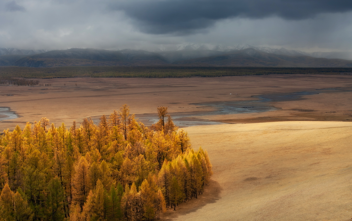 , Трофимов Алексей