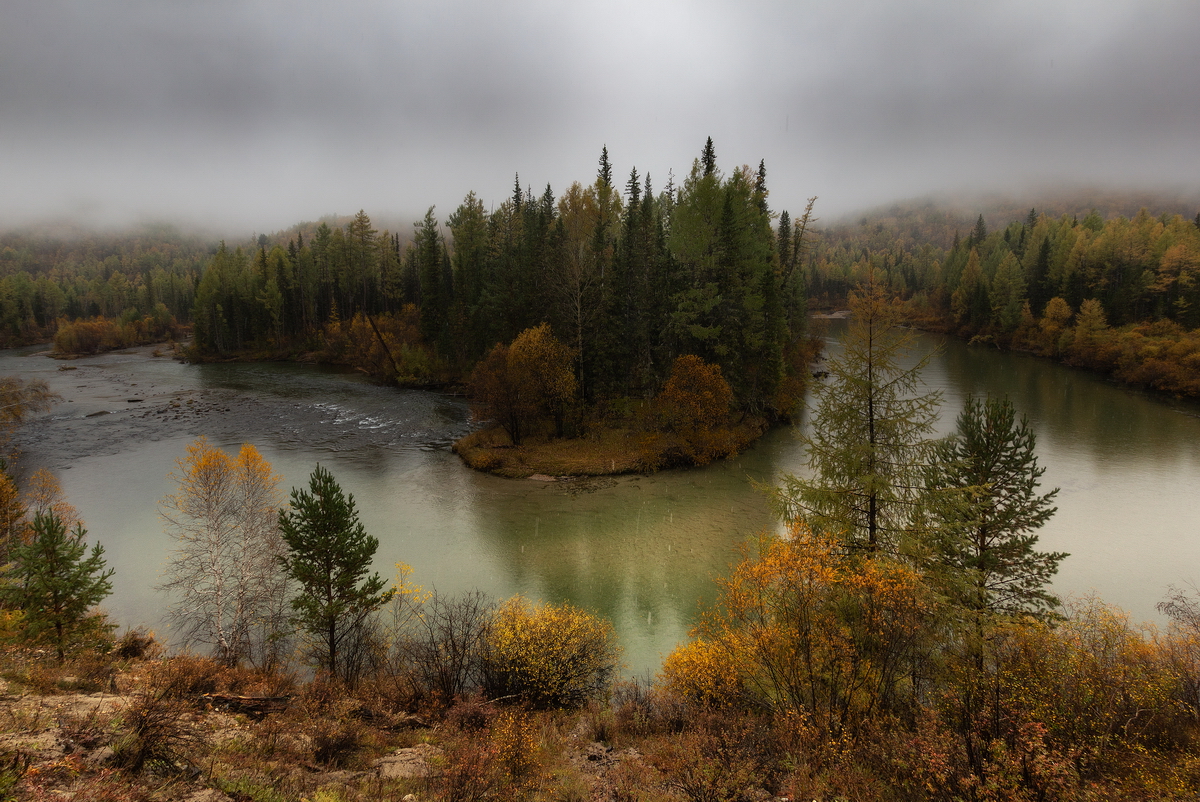 , Трофимов Алексей