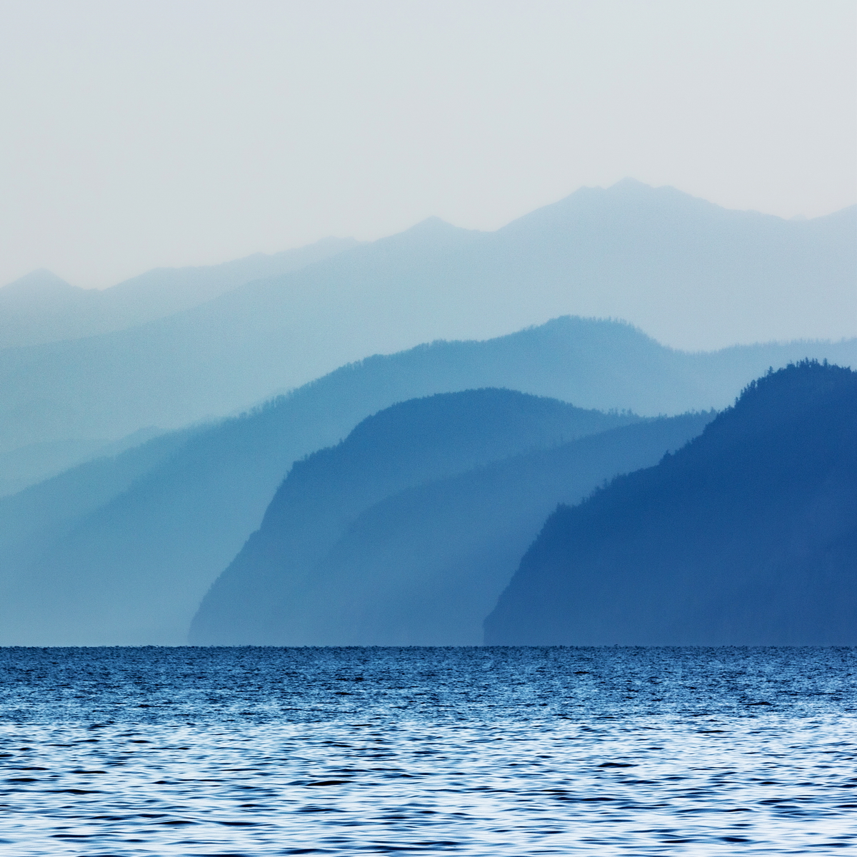 , Трофимов Алексей