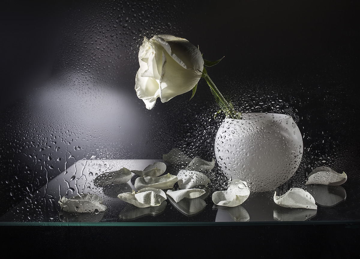 , Евгений Попов