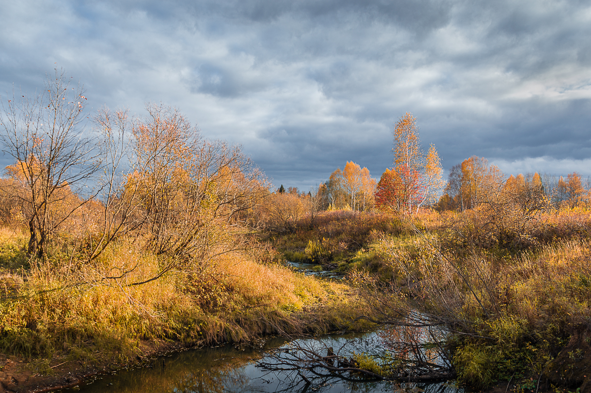 Пейзаж, осень, октябрь, природа, сентябрь, Mysov Ivan