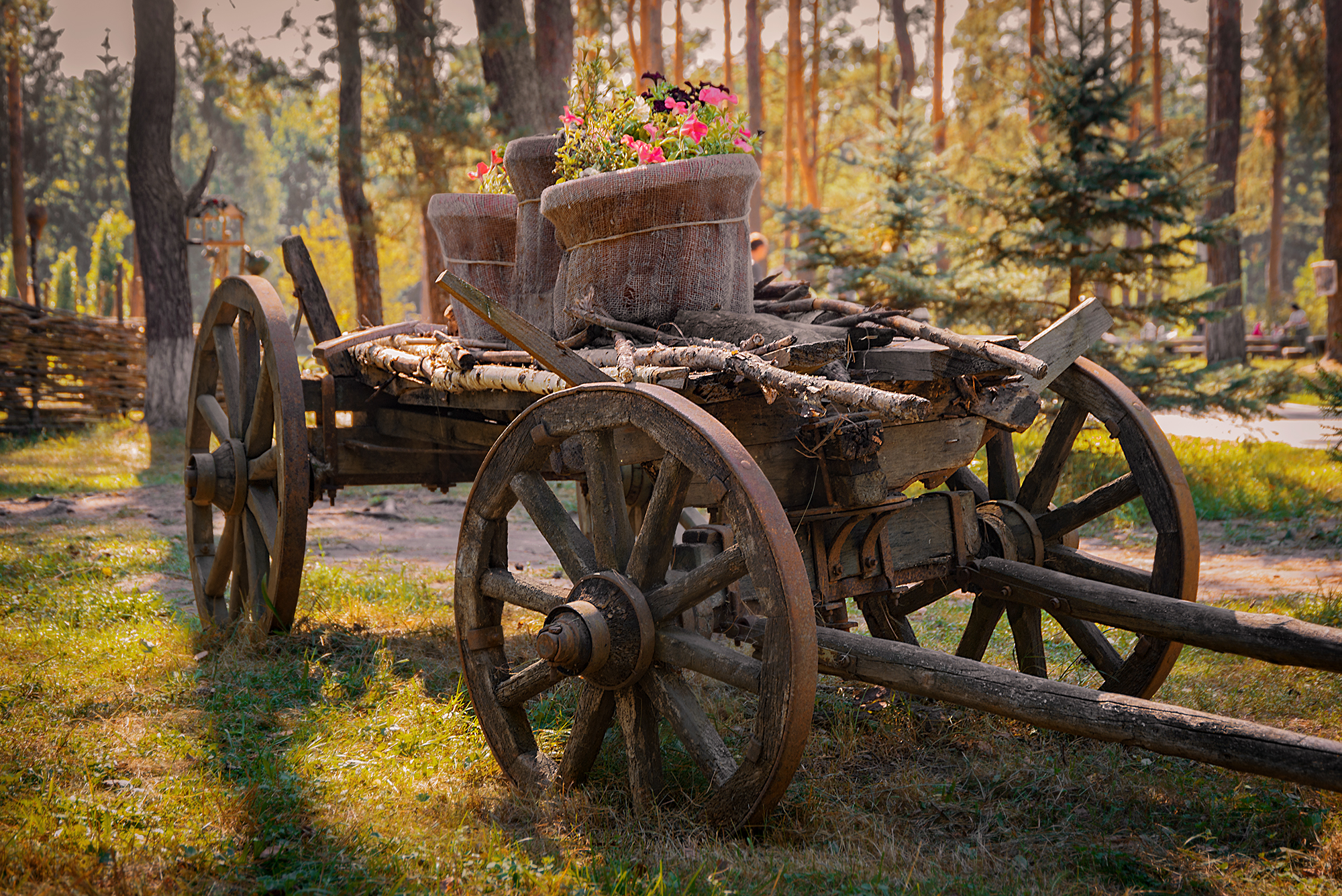 , Владимир Ноздрачев