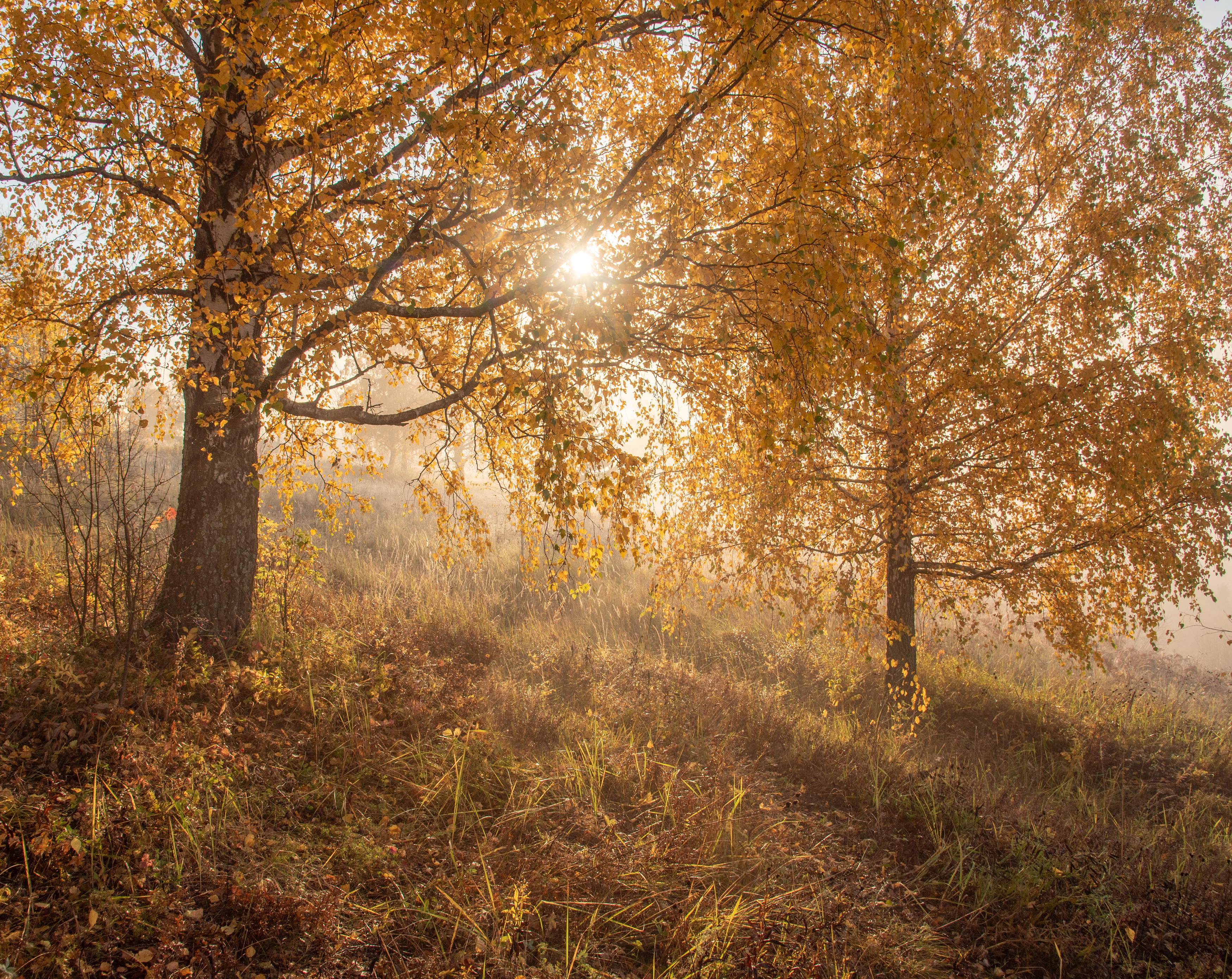 , Карепанов Евгений