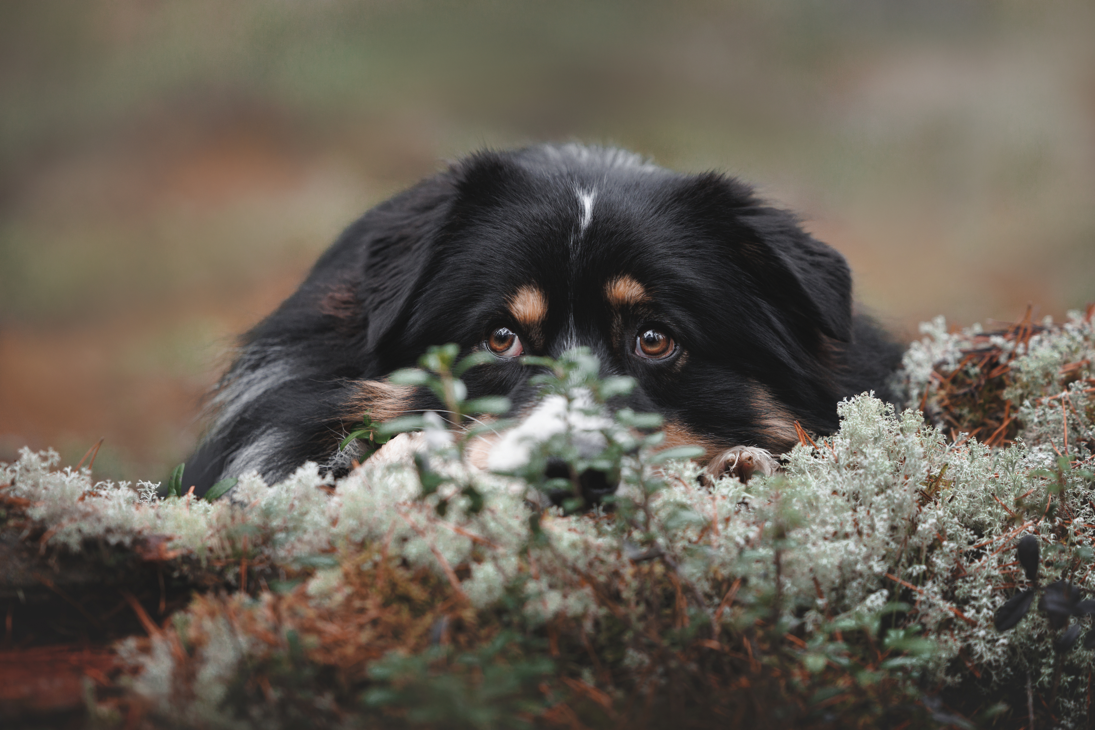 , Яна Нарбутович