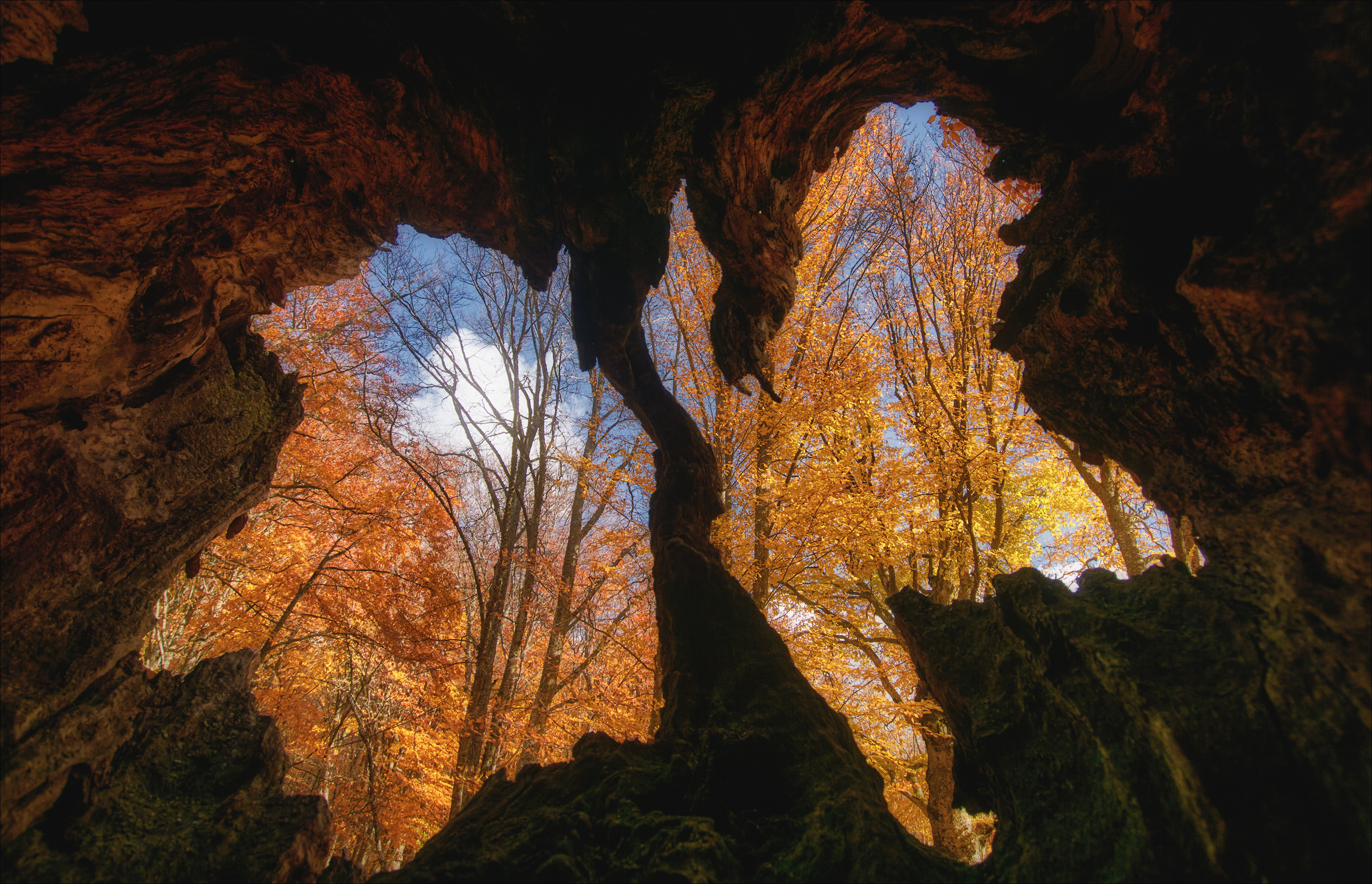 , Богорянов Алексей