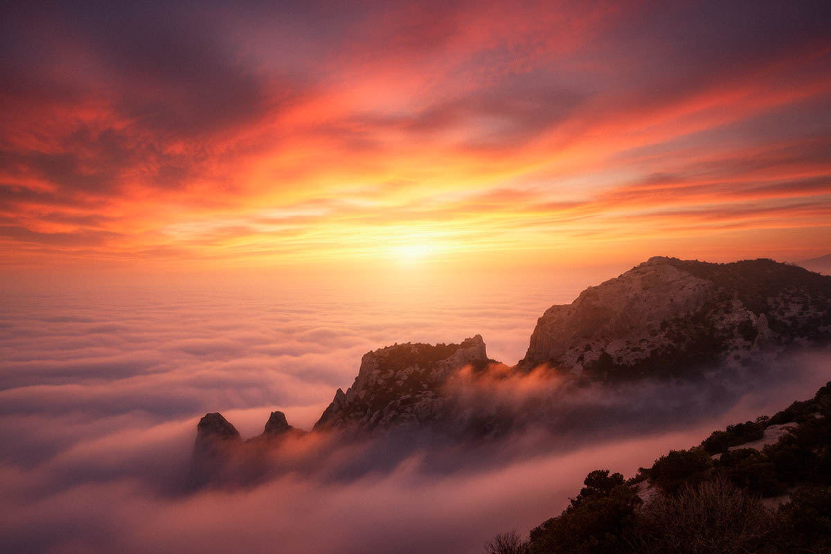 крым, новый свет, туман, закат, горы, деревья, Пучков Алексей