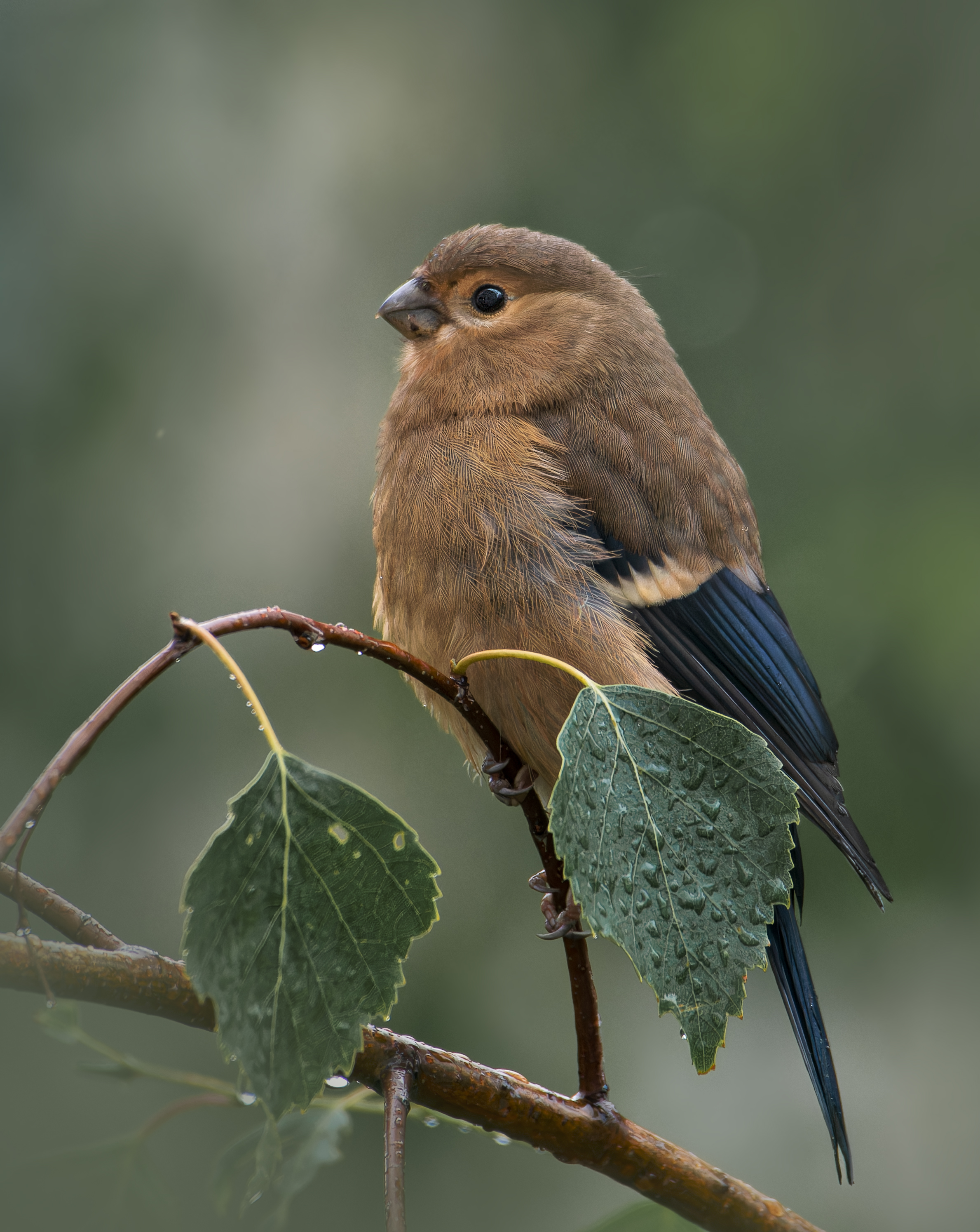, Фото Александр