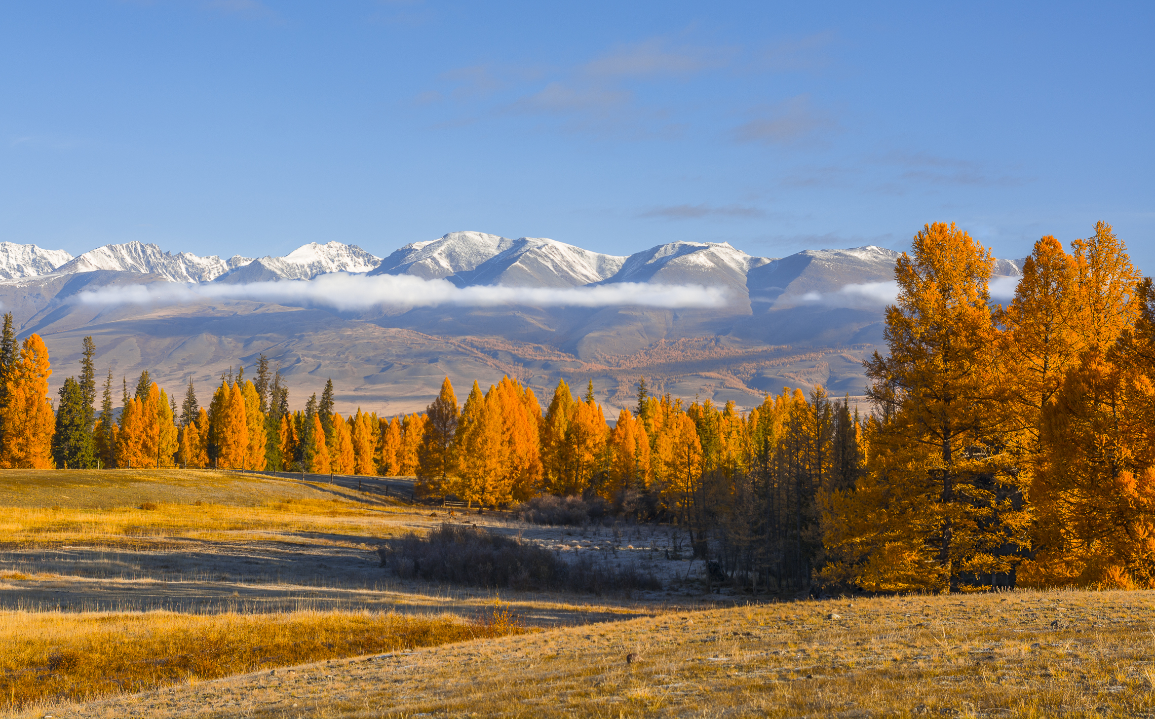 россия, горный алтай,осень,утро, Андрей Поляков