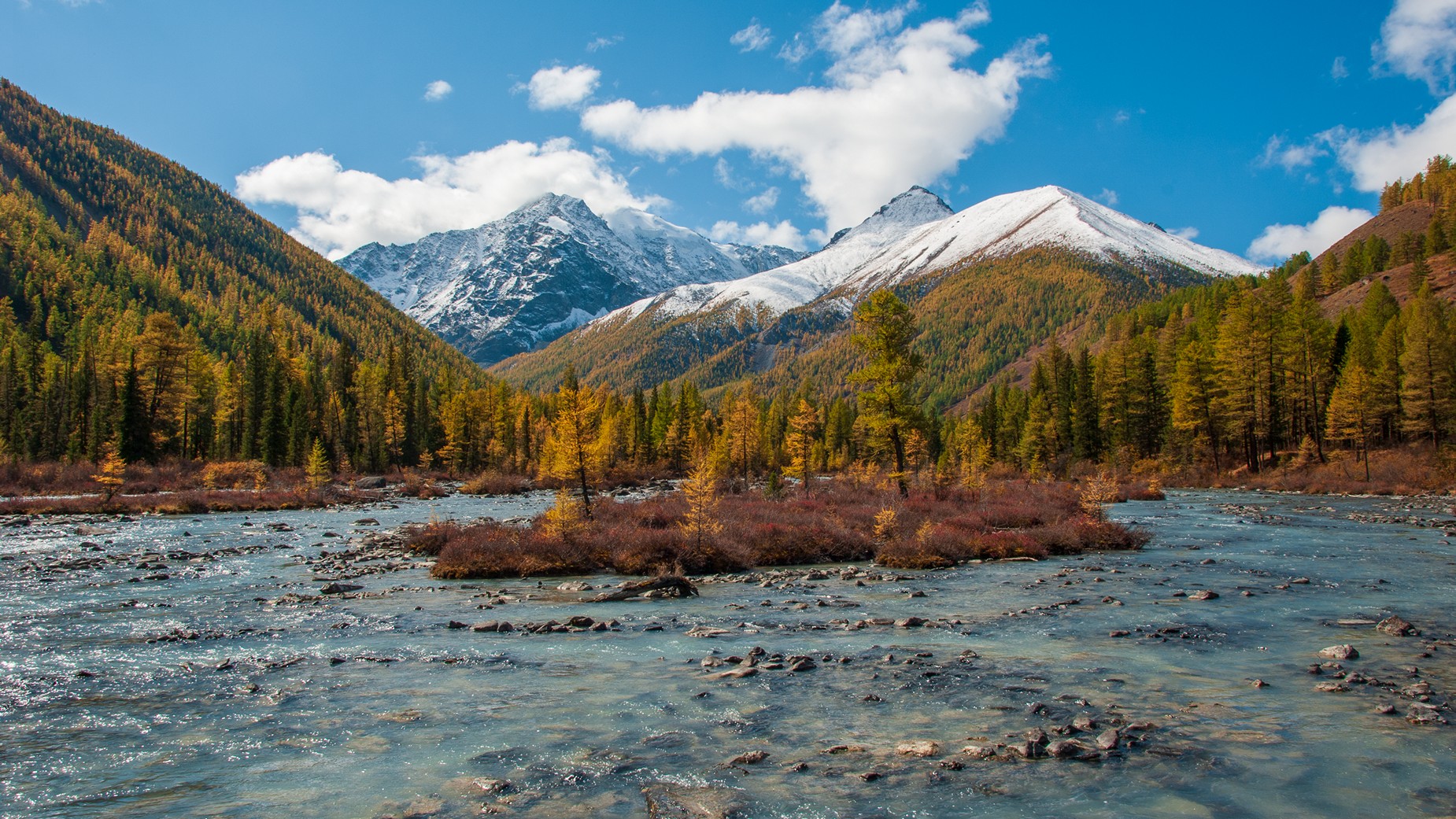 алтай, река, разлив, маашей, осень, лиственницы, горы, снег, остров, долина, Мальцев Юрий