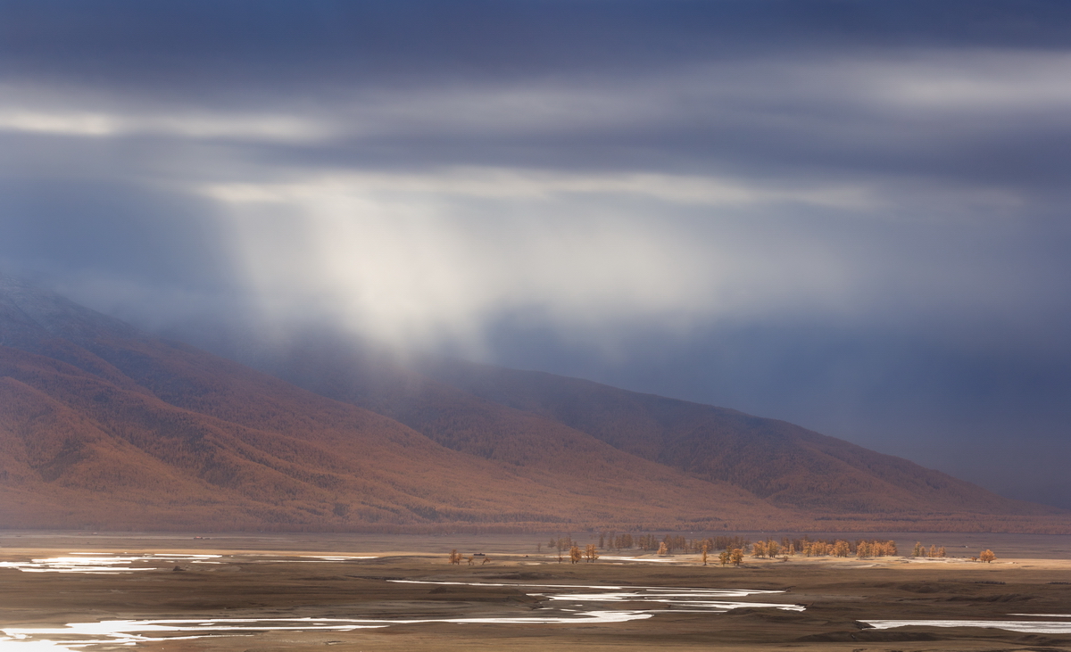 , Трофимов Алексей