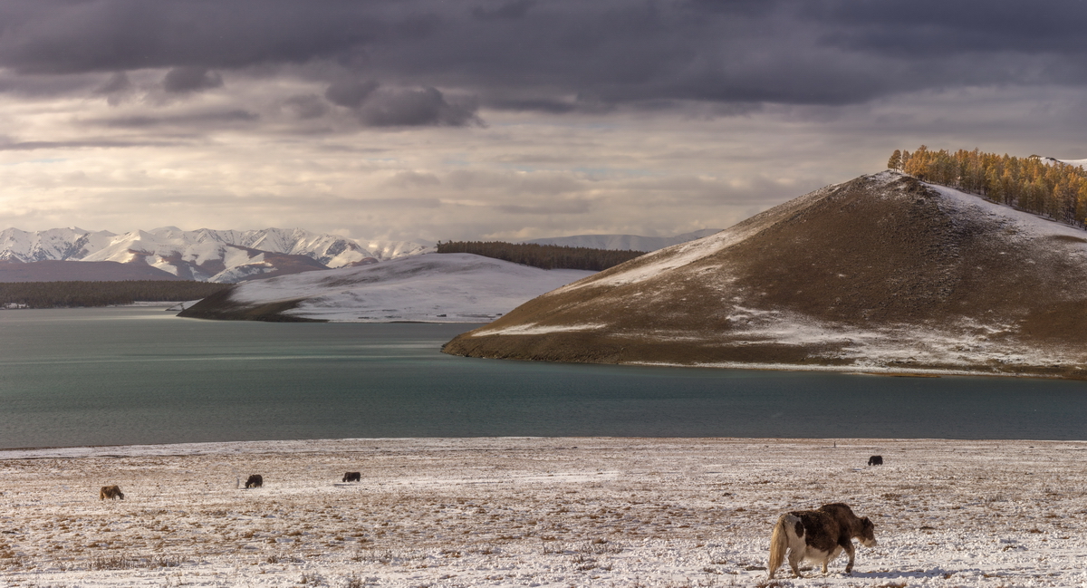 , Трофимов Алексей