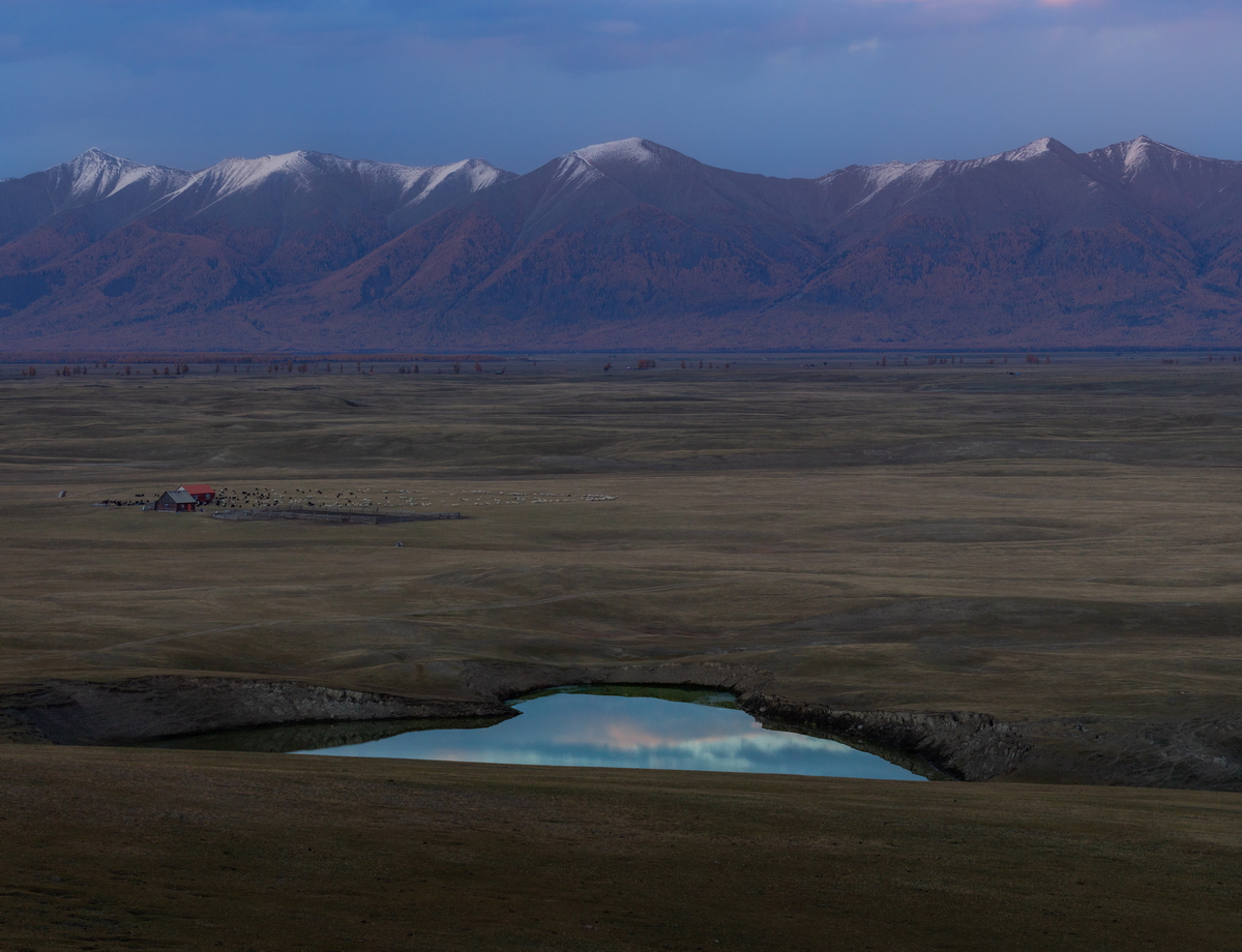 , Трофимов Алексей