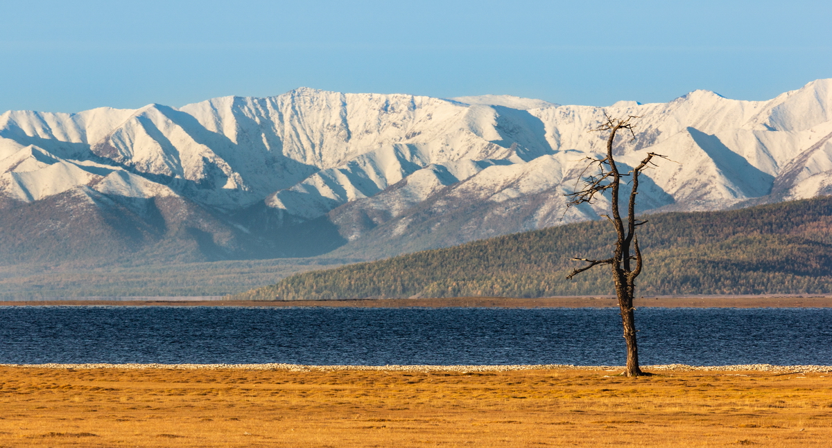 , Трофимов Алексей