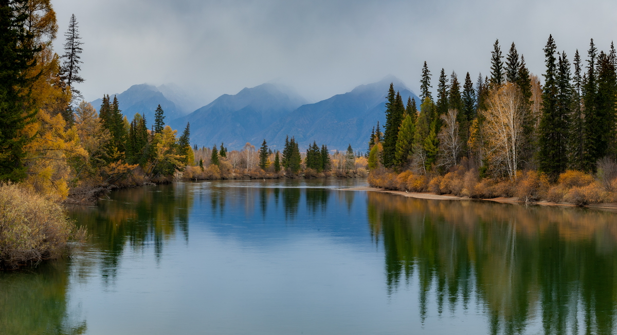 , Трофимов Алексей
