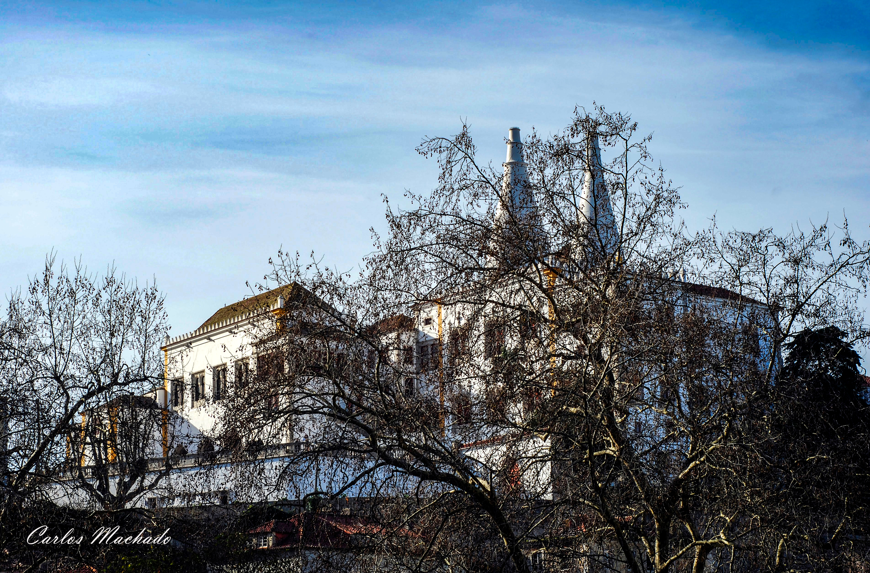 Nature, Palaces, Landscapes, Machado Carlos