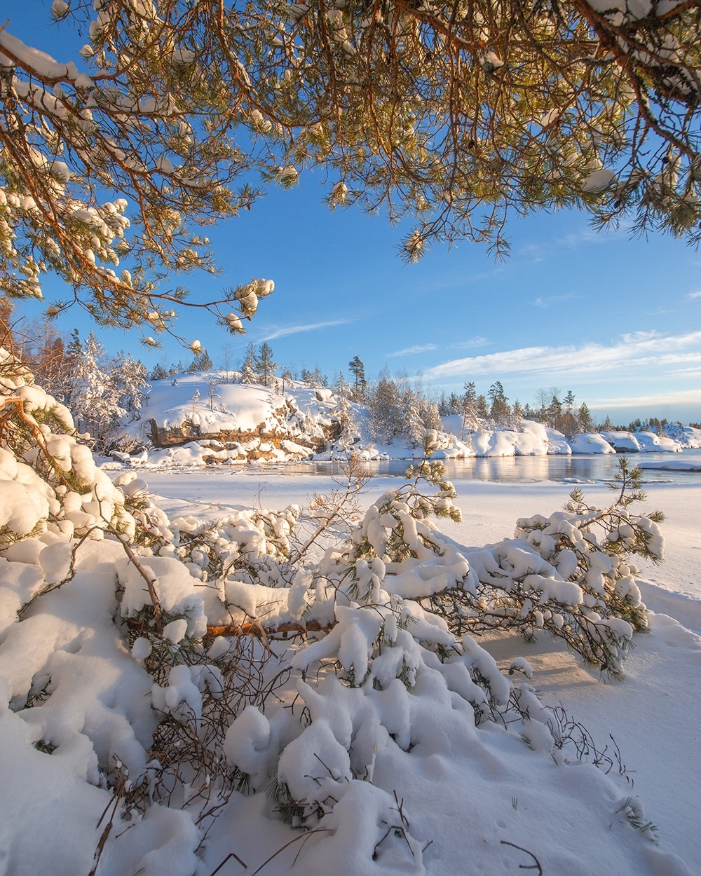 , Петр Косых