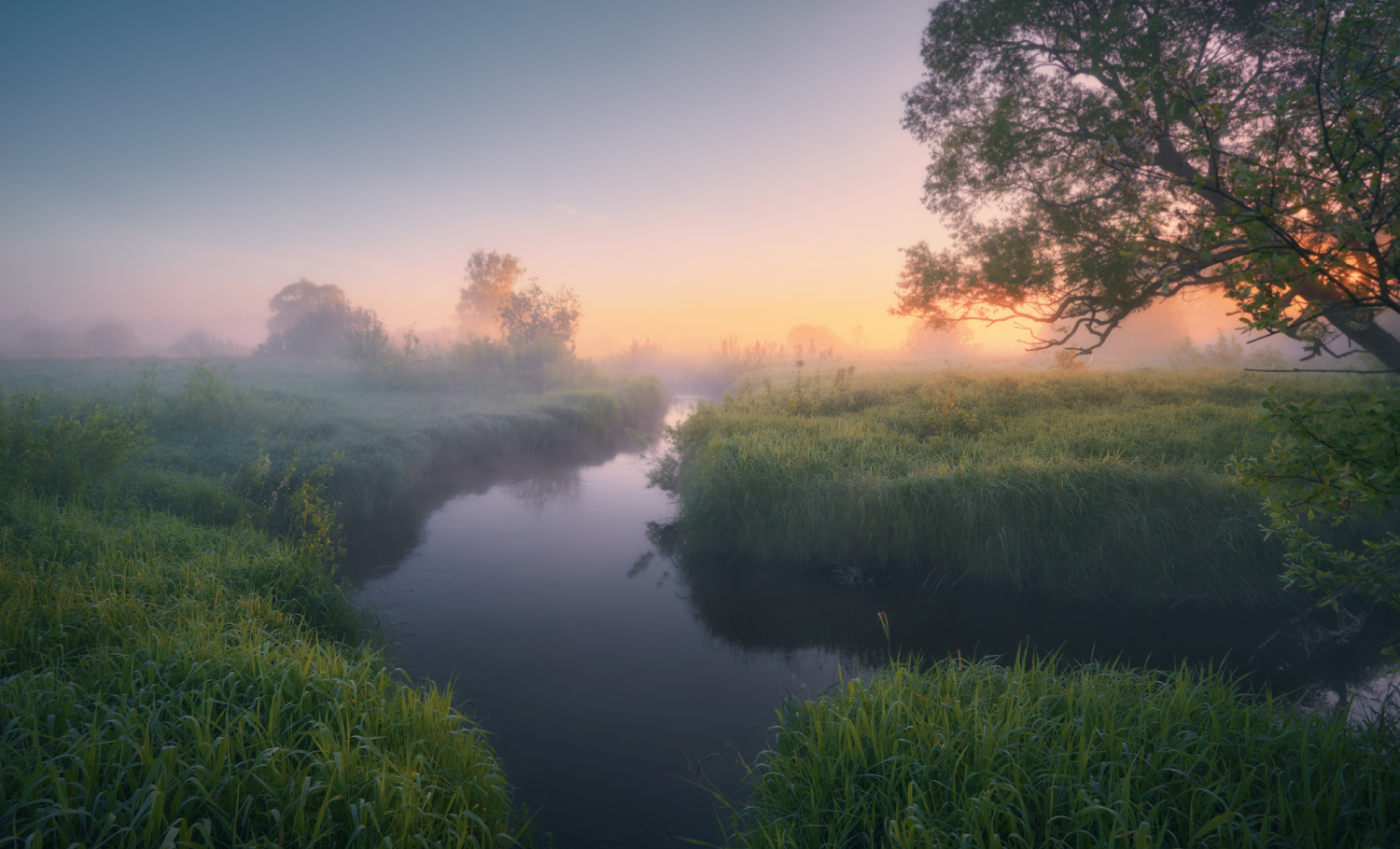 , Роман Лушпа