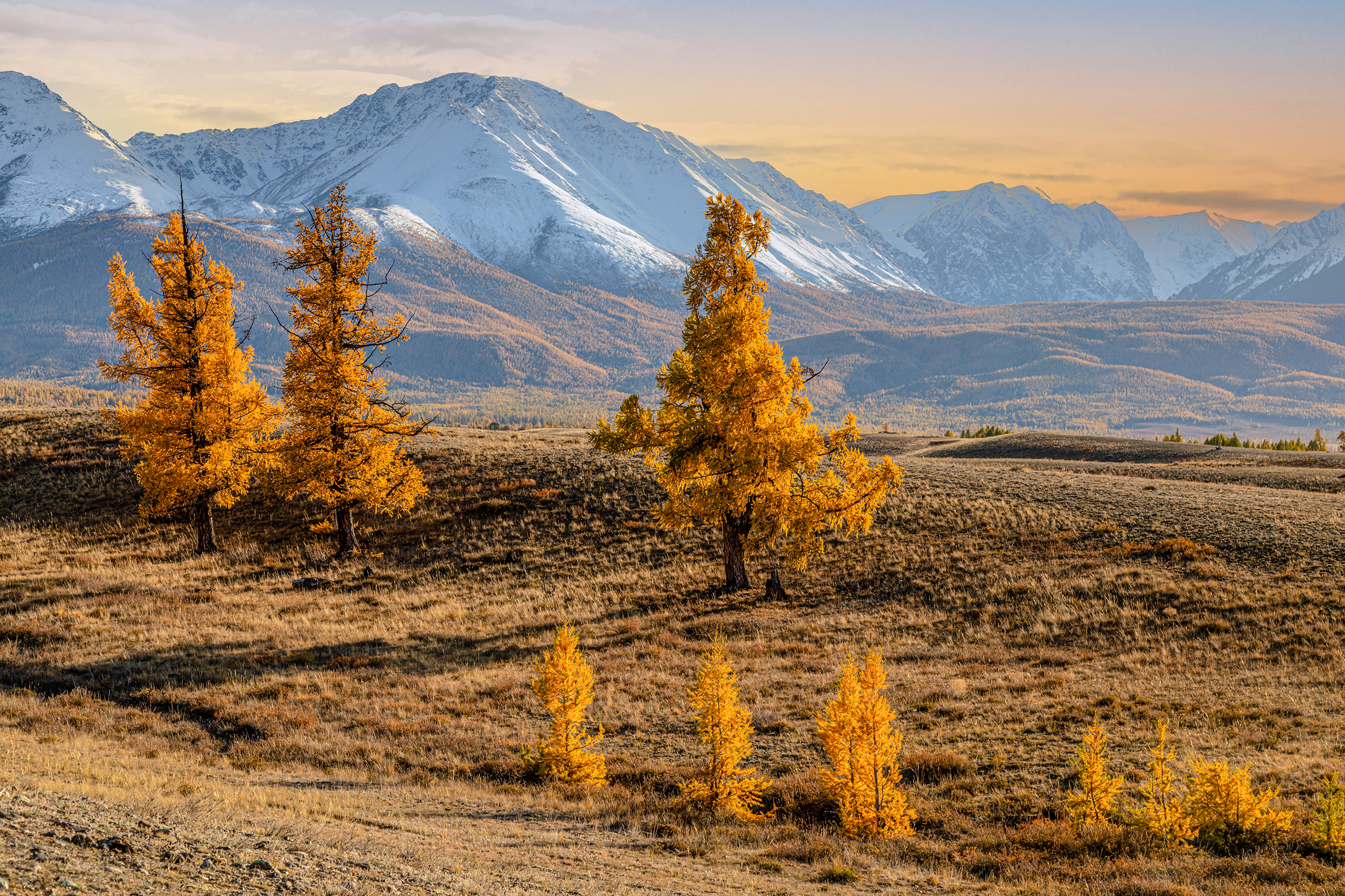 горноалтайск...., Бирюков Вячеслав