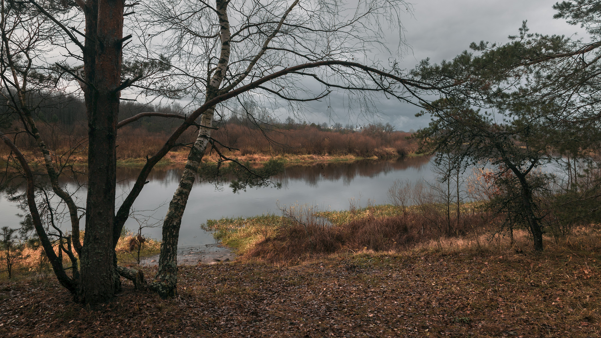 , Михаил Кушнер