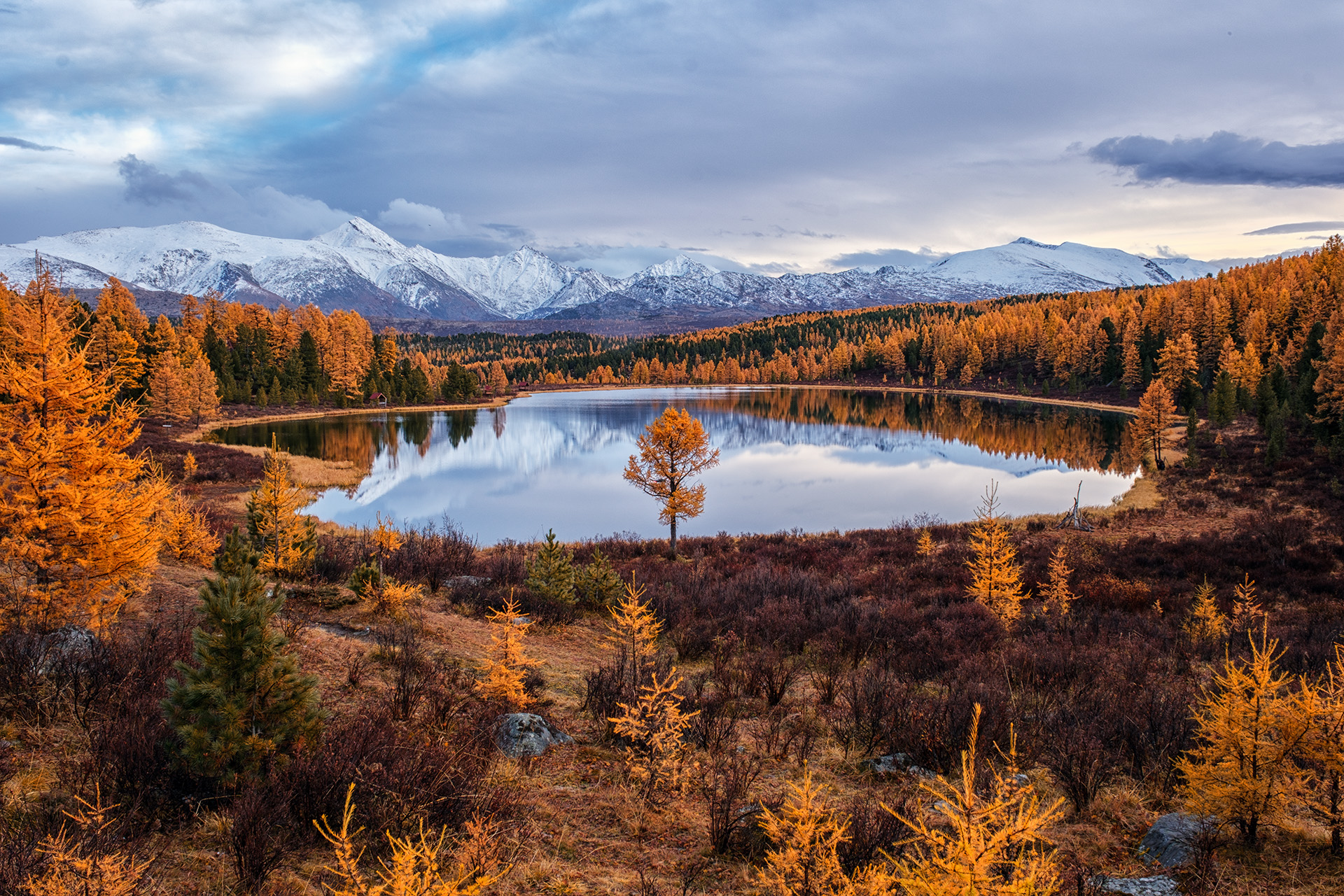 , Бодрягин Виталий