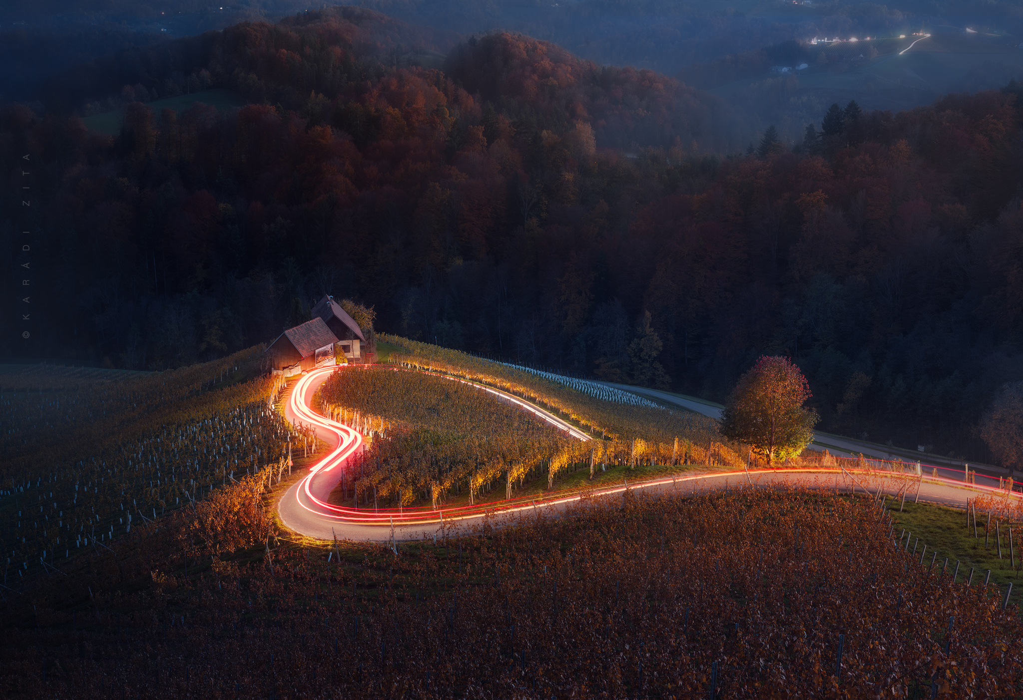 slovenia, landscape, sunset, trees, forest, wineyeard, vinary, hills, europe, hungarianphotographer, autumn, blue hour, longexpo, Karádi Zita