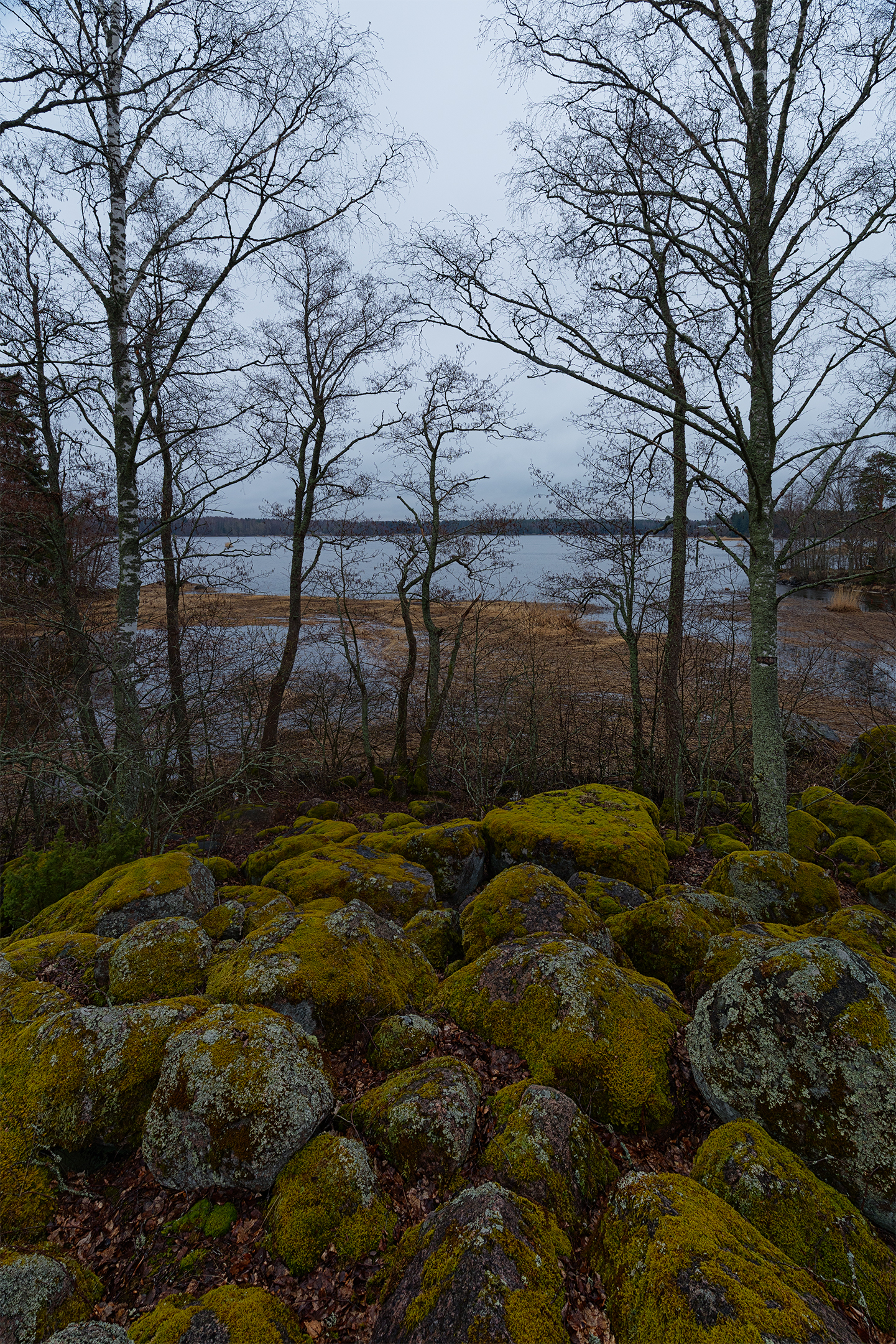 , Михайлова Елена