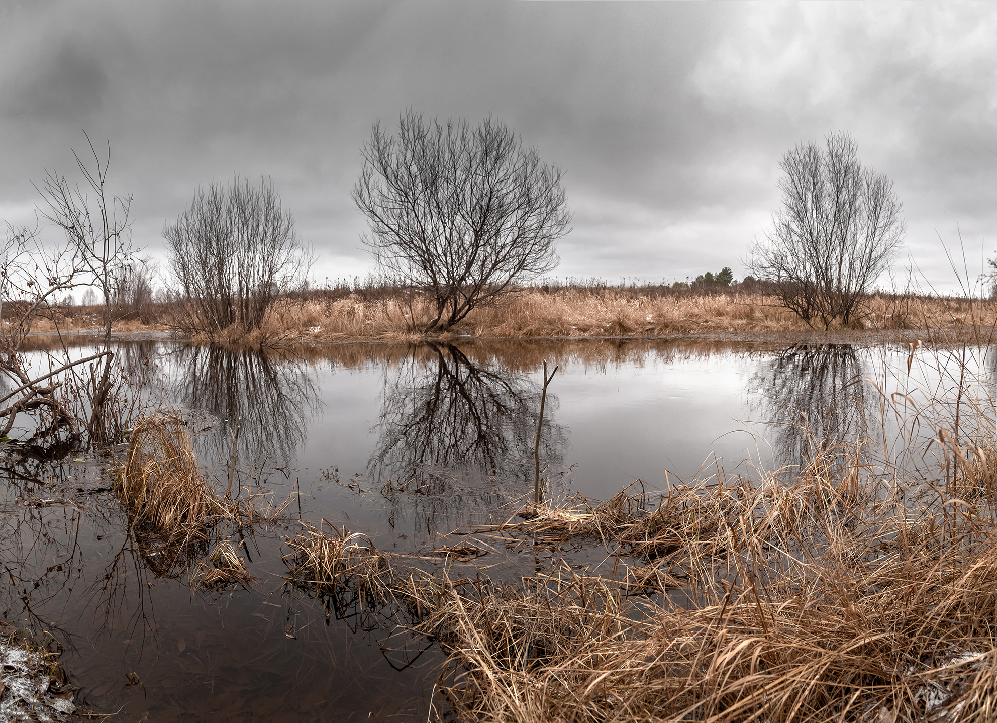 речка , трава, кустарник, отражение, пасмурно, осень., Анкудинов Леонид
