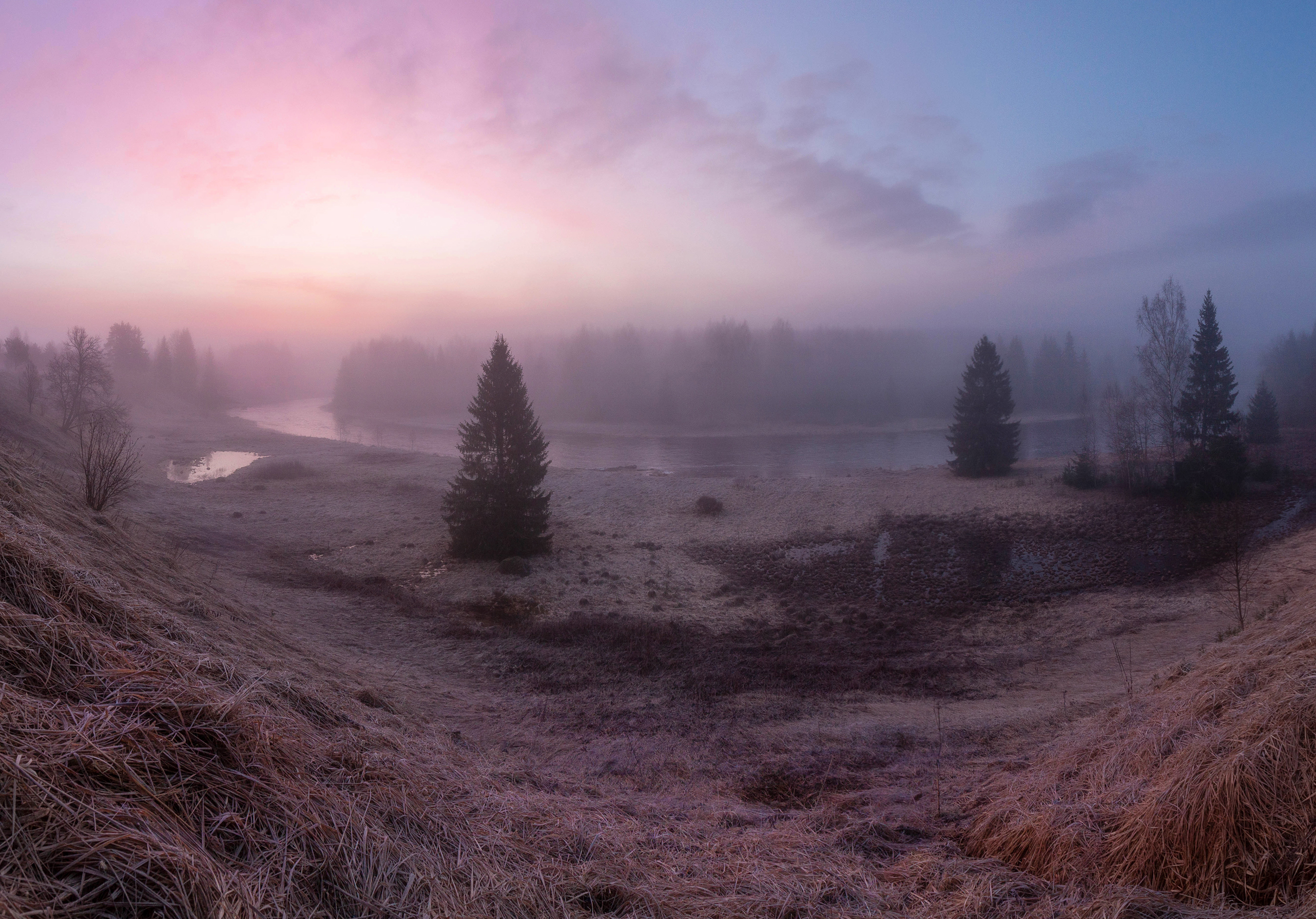 весна,рассвет, туман, утро, река, россия, природа, ленинградская область, Павел Ващенков