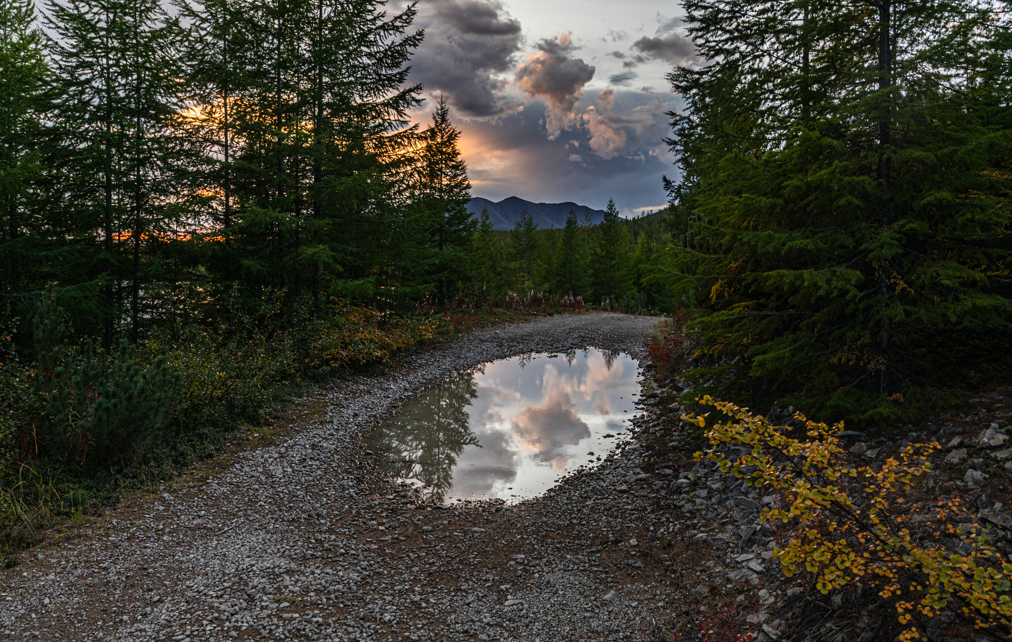 Лес, вечер, закат, осень, отражение, Сергей Петров