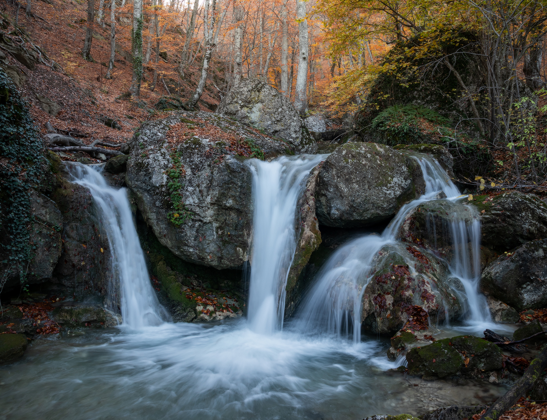 , Михаил Гапонов