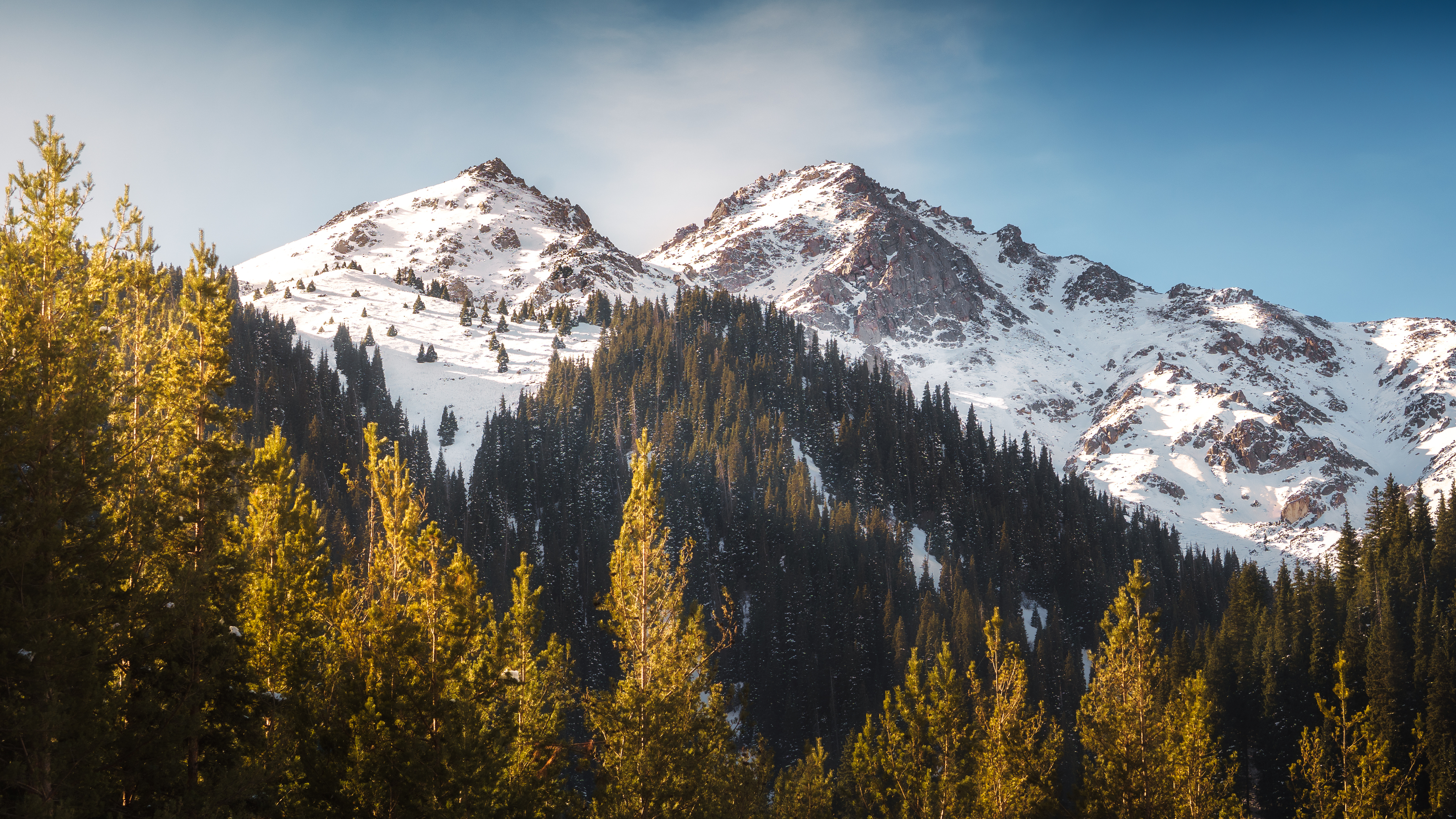 , Купчиков Илья