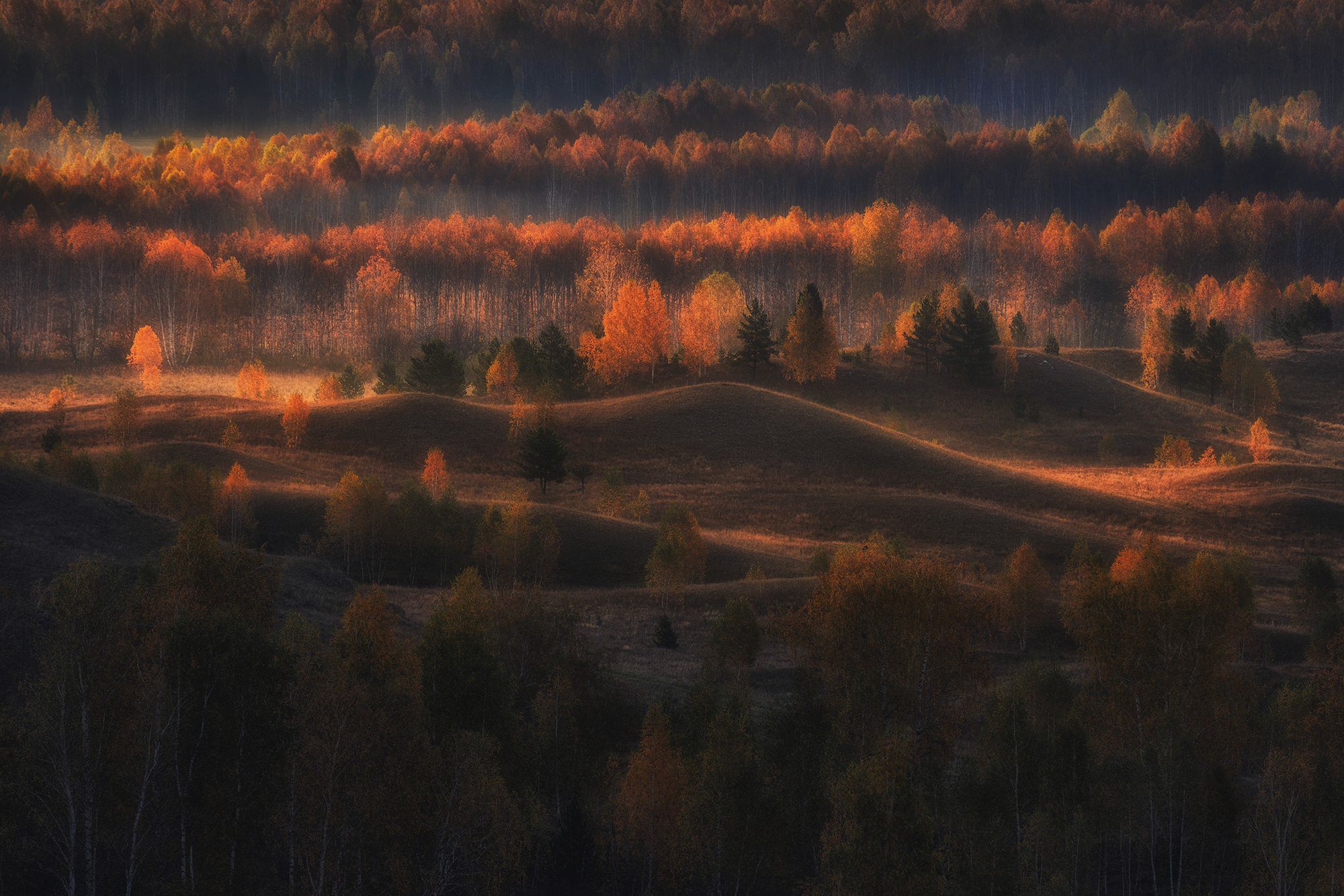 , Бирюкова Татьяна