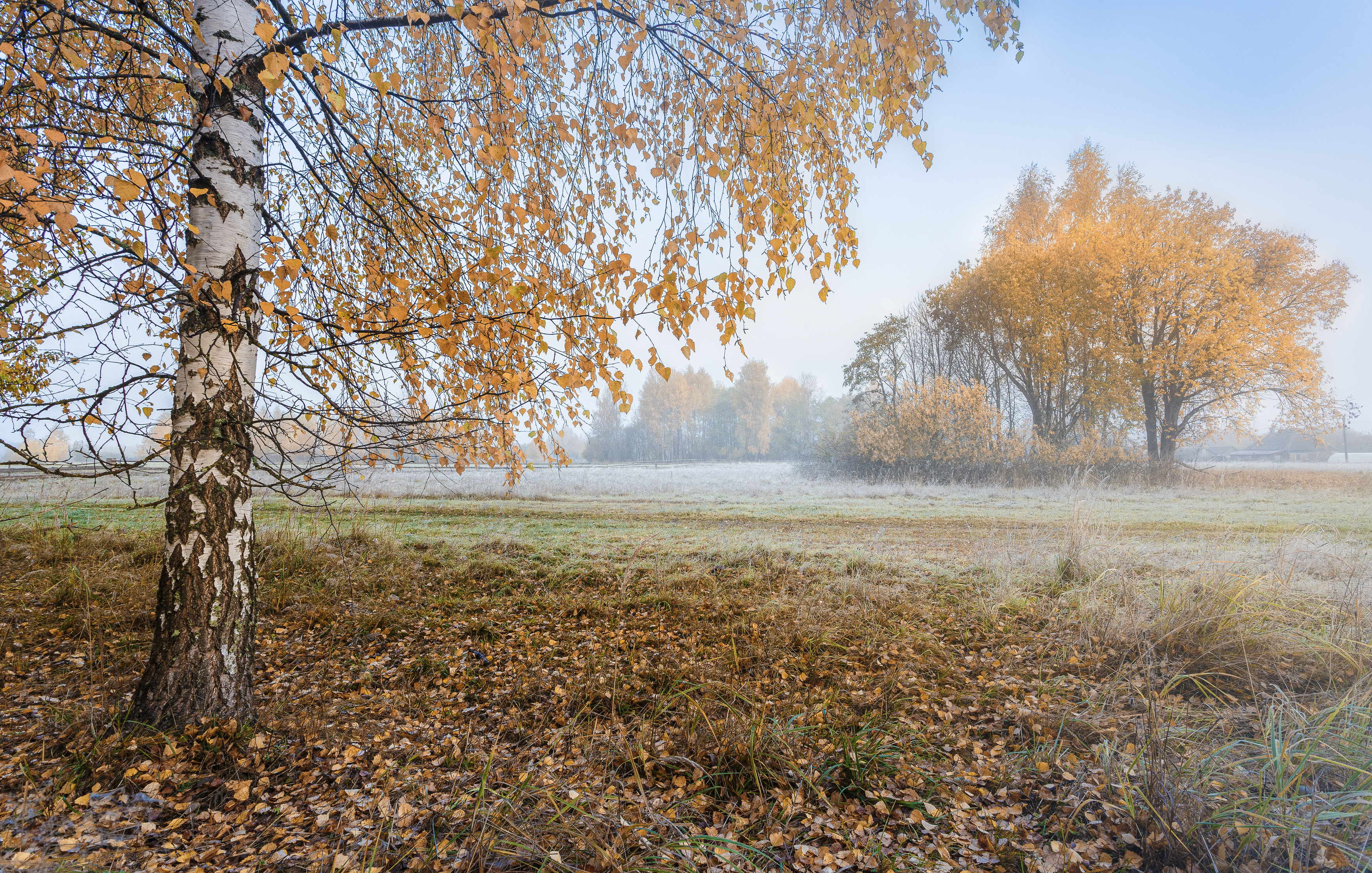 Смоленская обл. Торбеево, Зеленько Дмитрий
