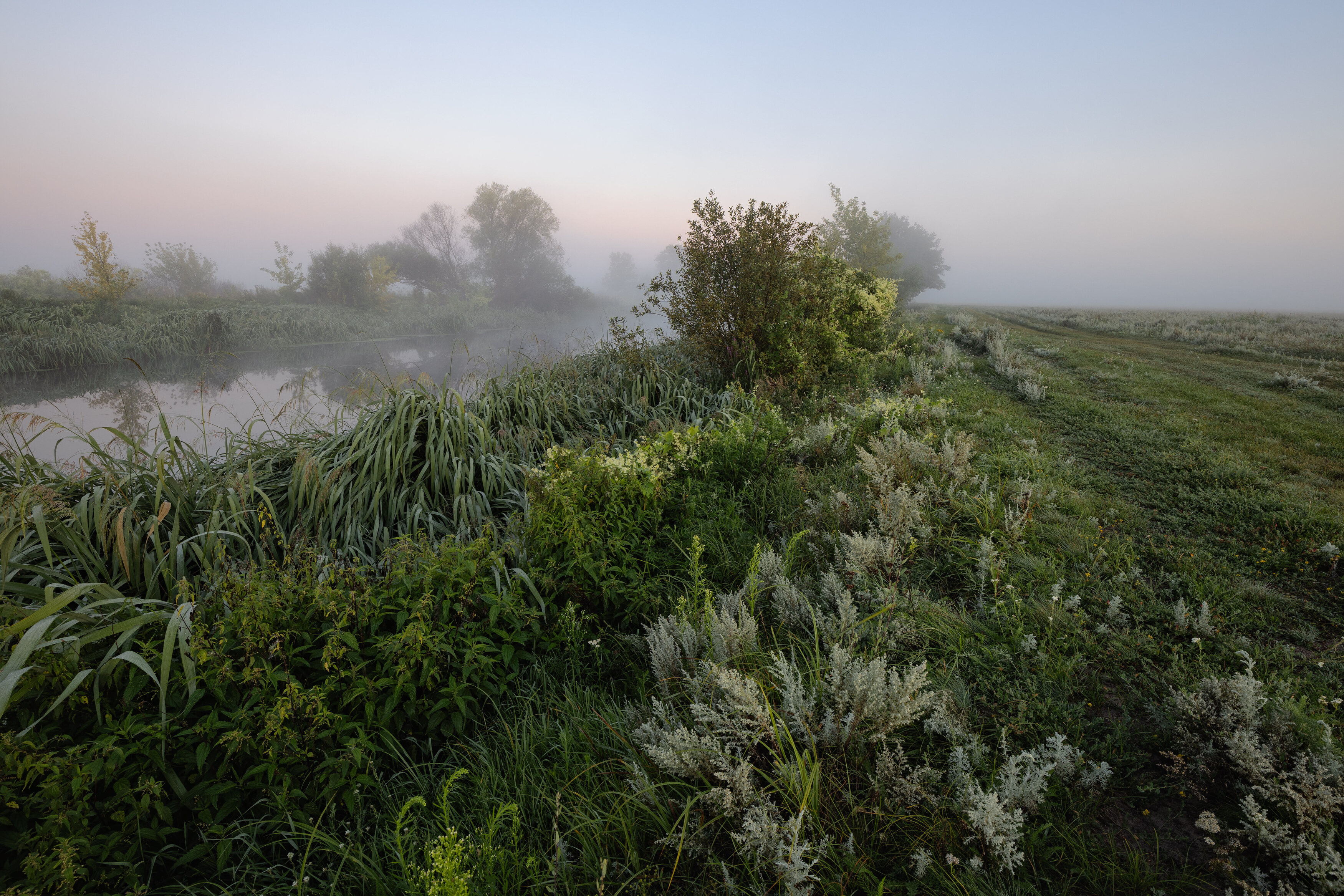 , Александр Бредихин