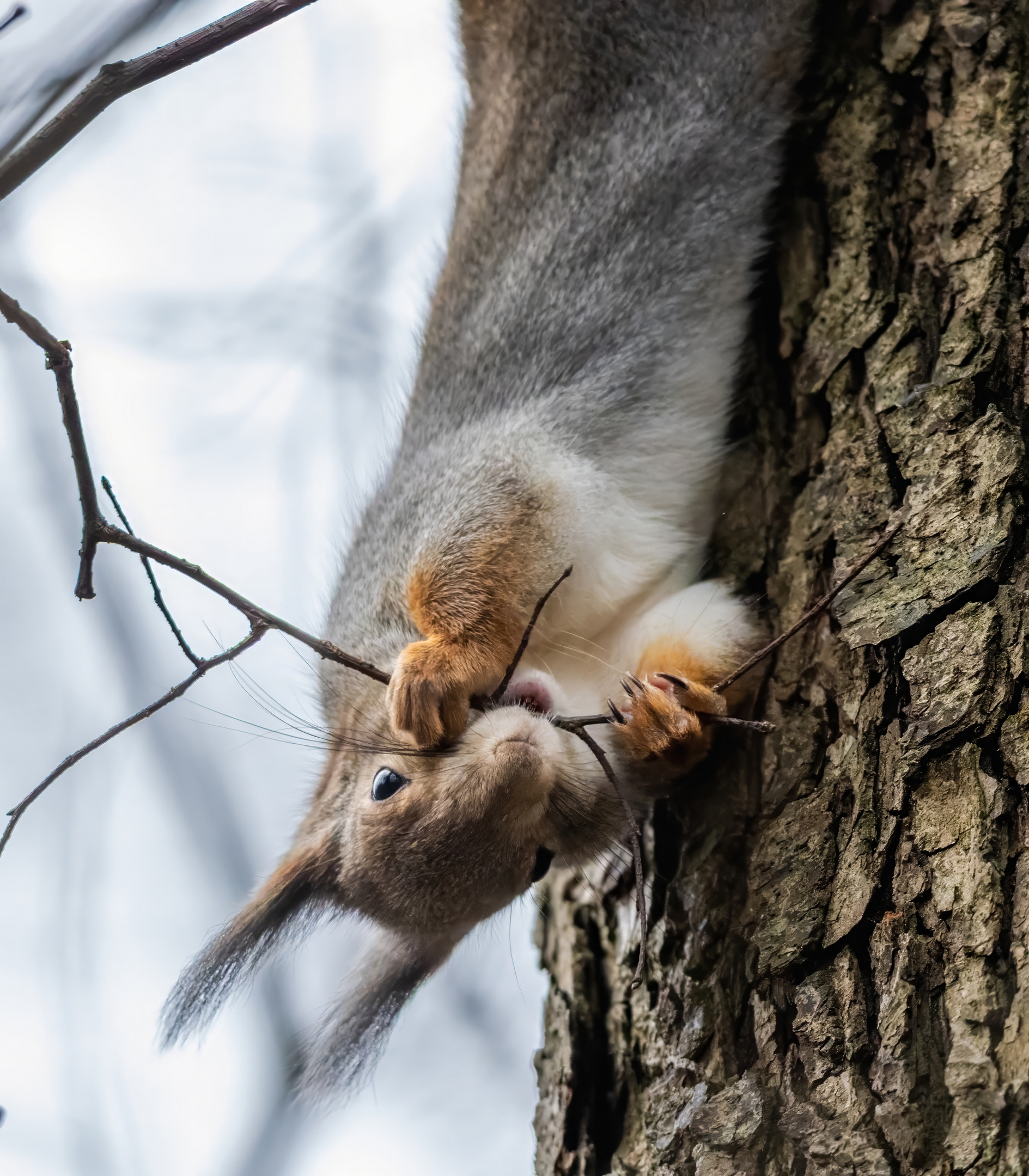 , Дем Константин