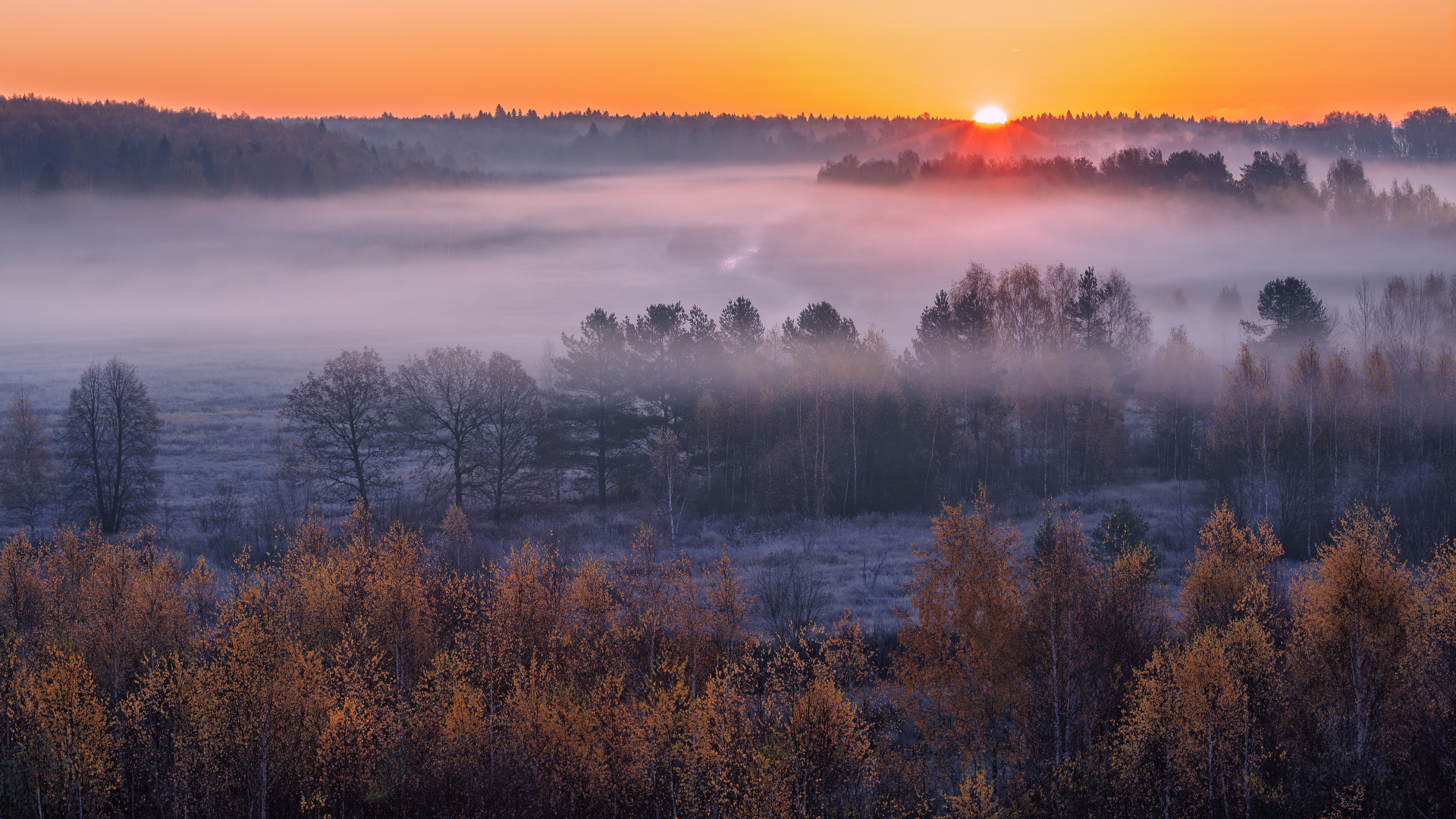, Евгений Ерохин