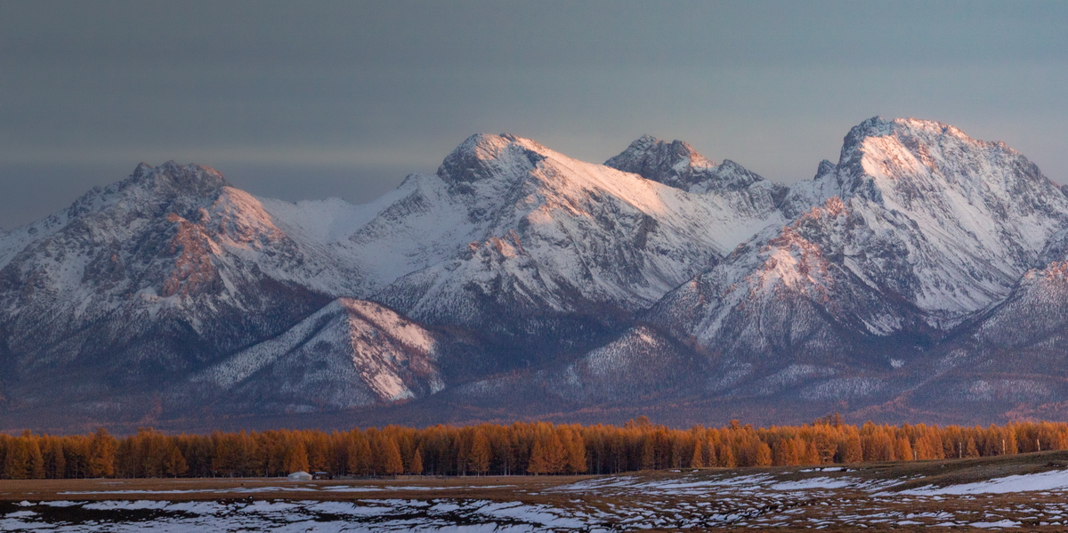 , Трофимов Алексей