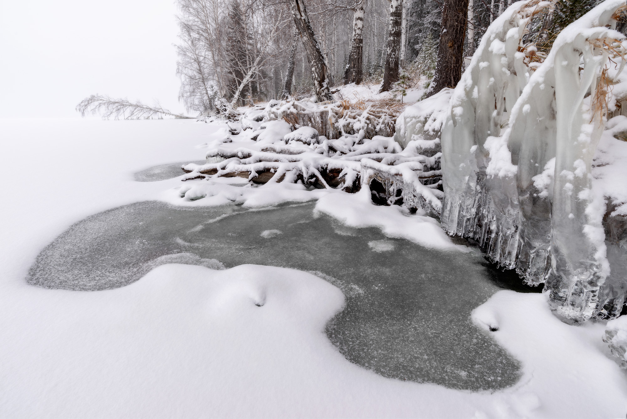 , Обухов Николай