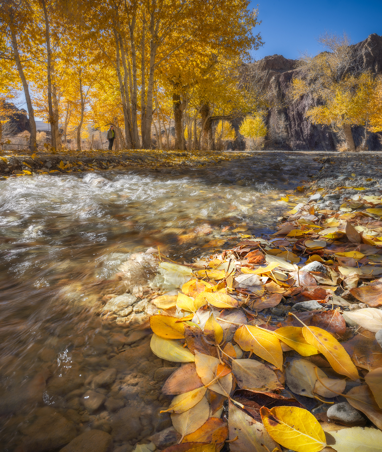 алтай, осень, ручей, листья, солнце, Сергей Буторин