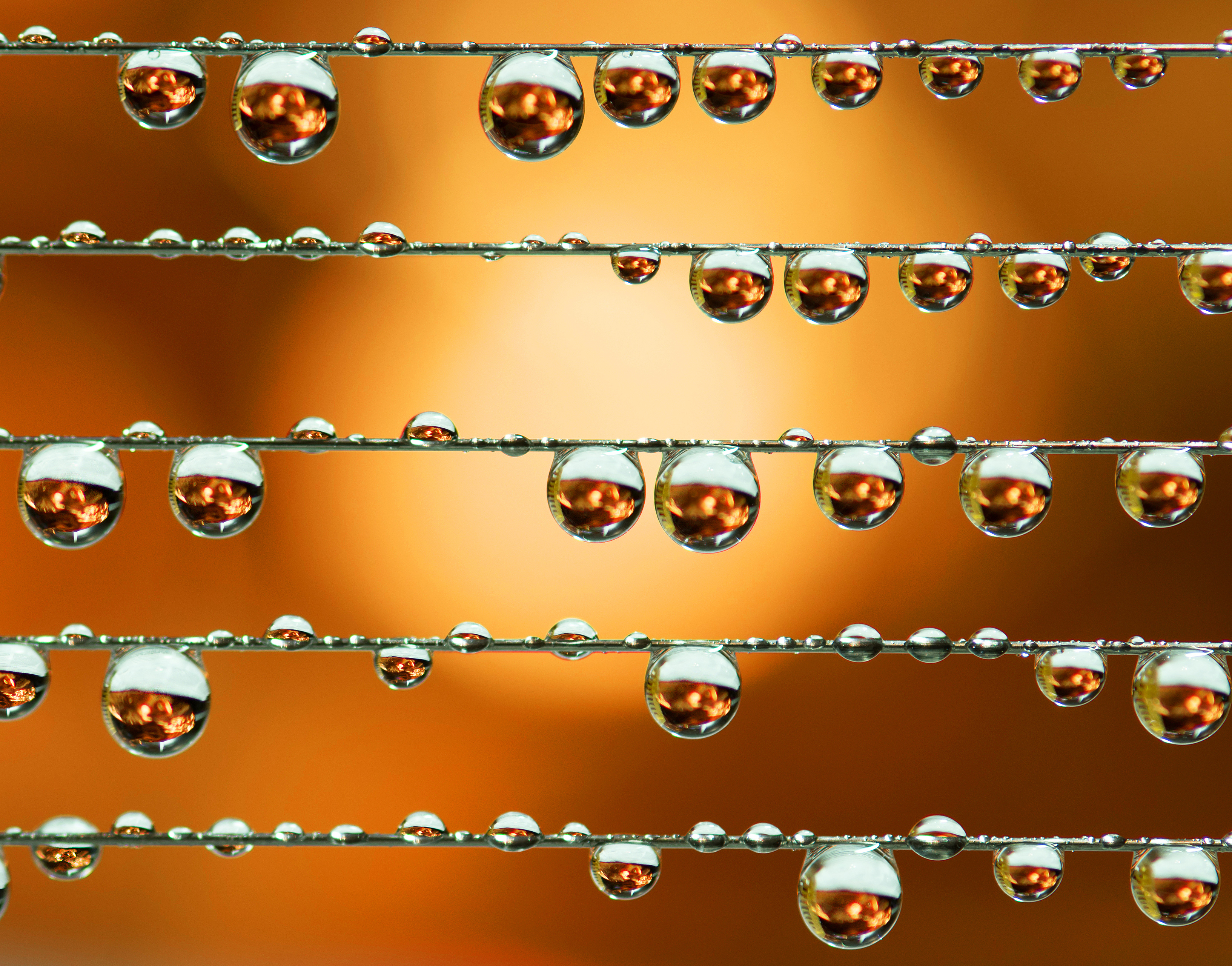 макро, вода, фоню, Kudryavtsev Pavel