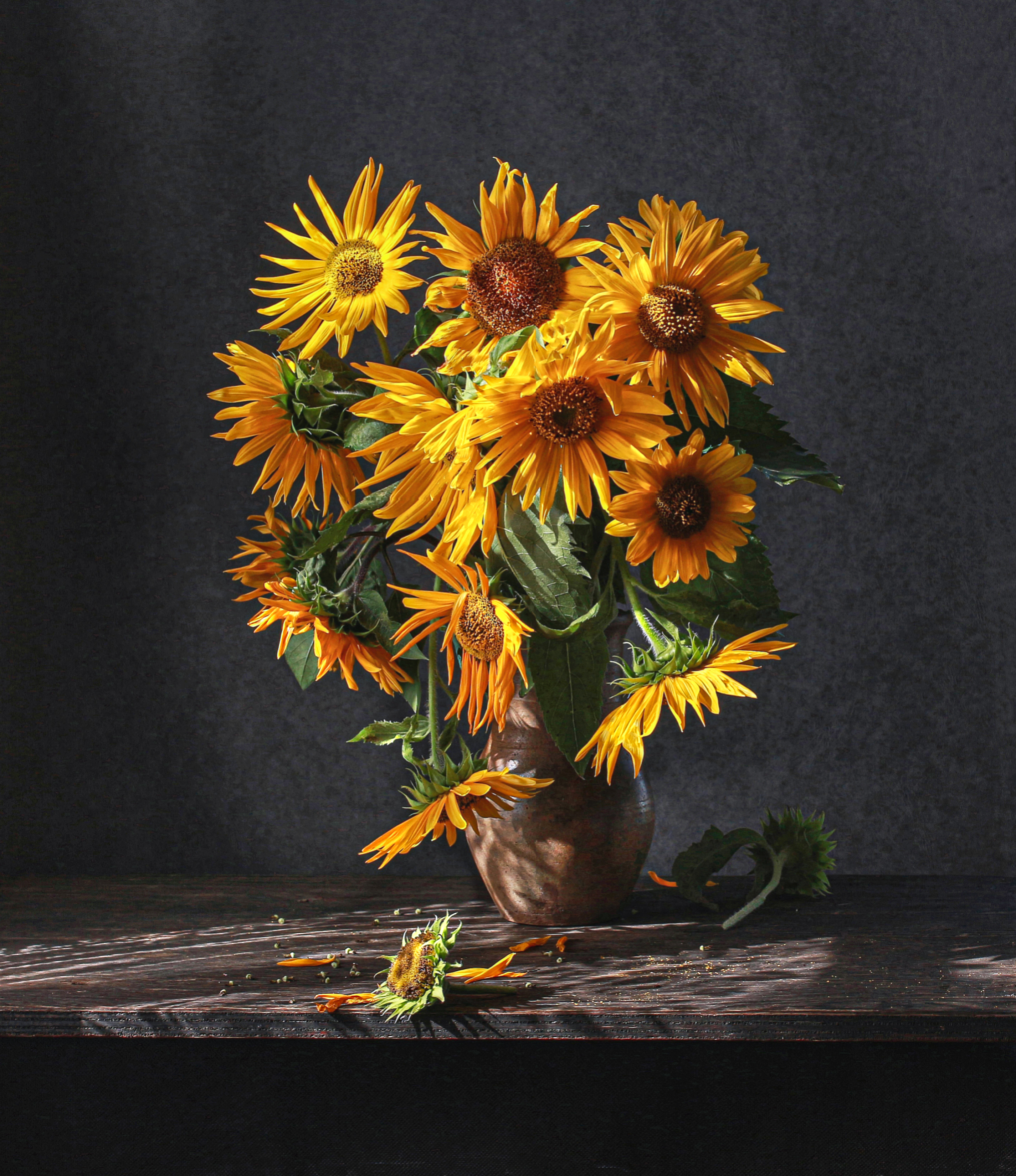 , Наталья Казанцева