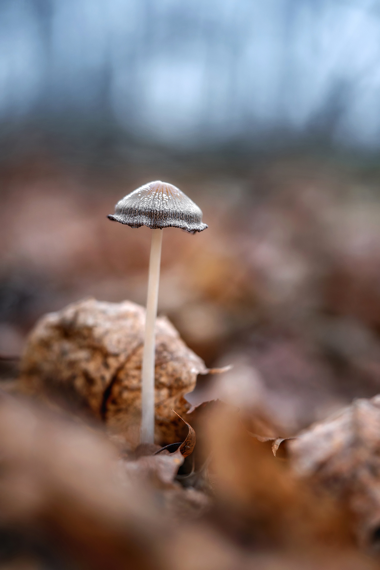 , Завьялова Людмила!